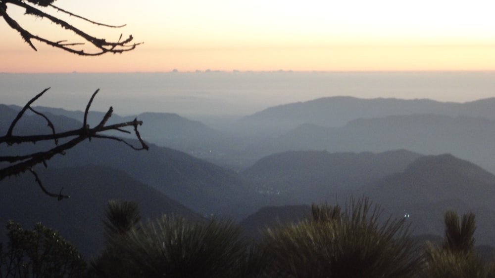 a view of a mountain range with trees in the foreground