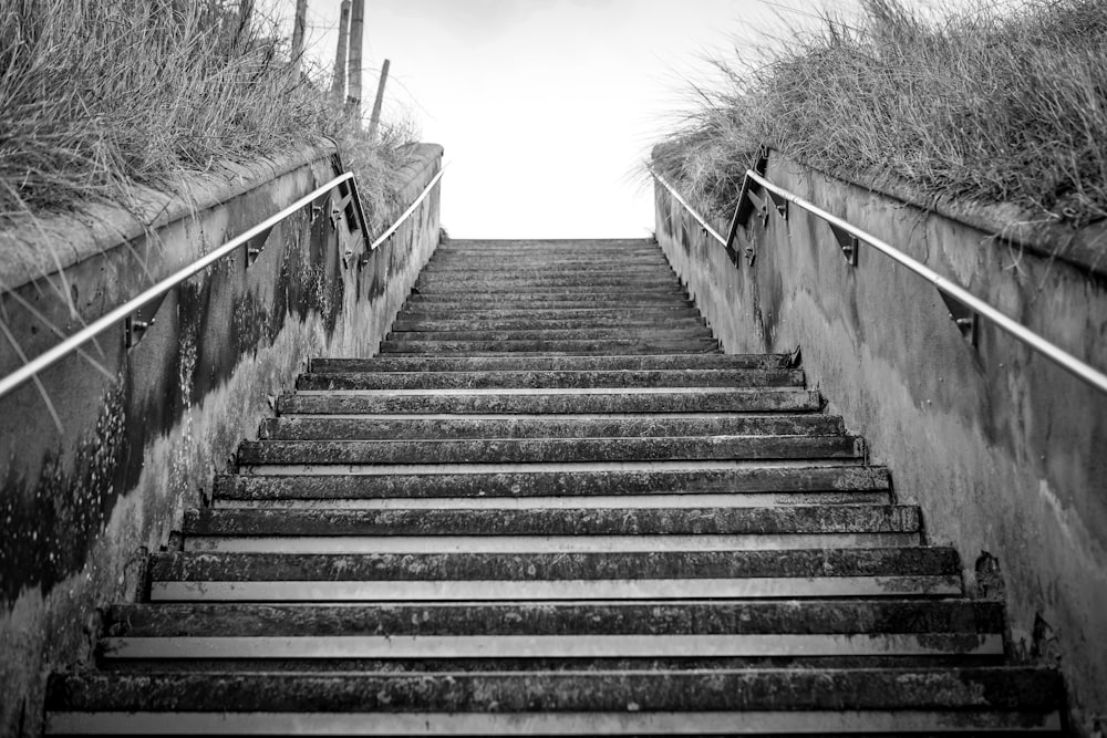 a black and white photo of a set of stairs