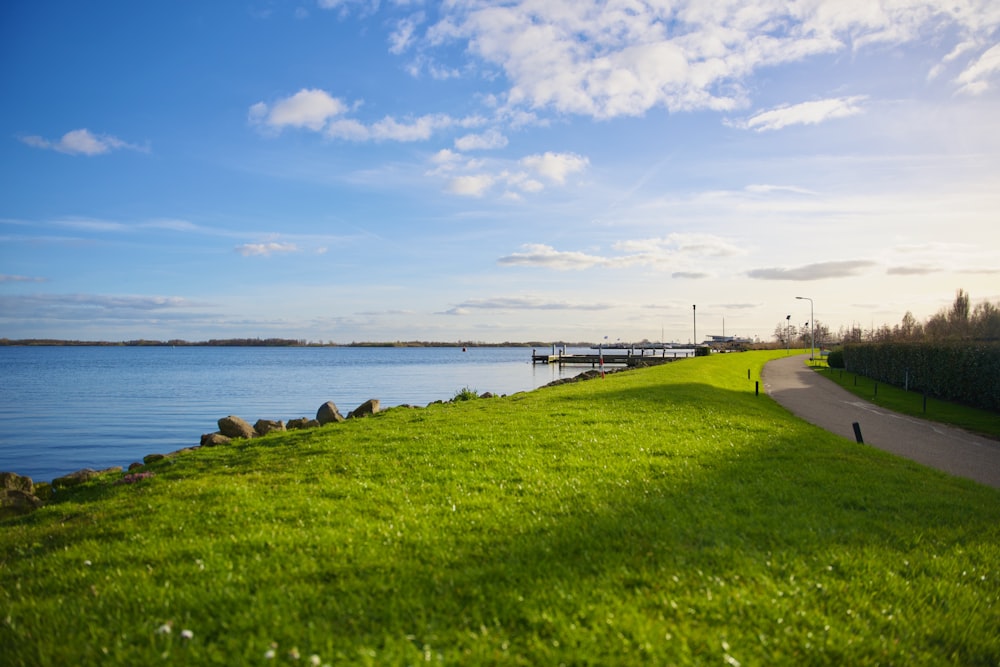 a green field next to a body of water