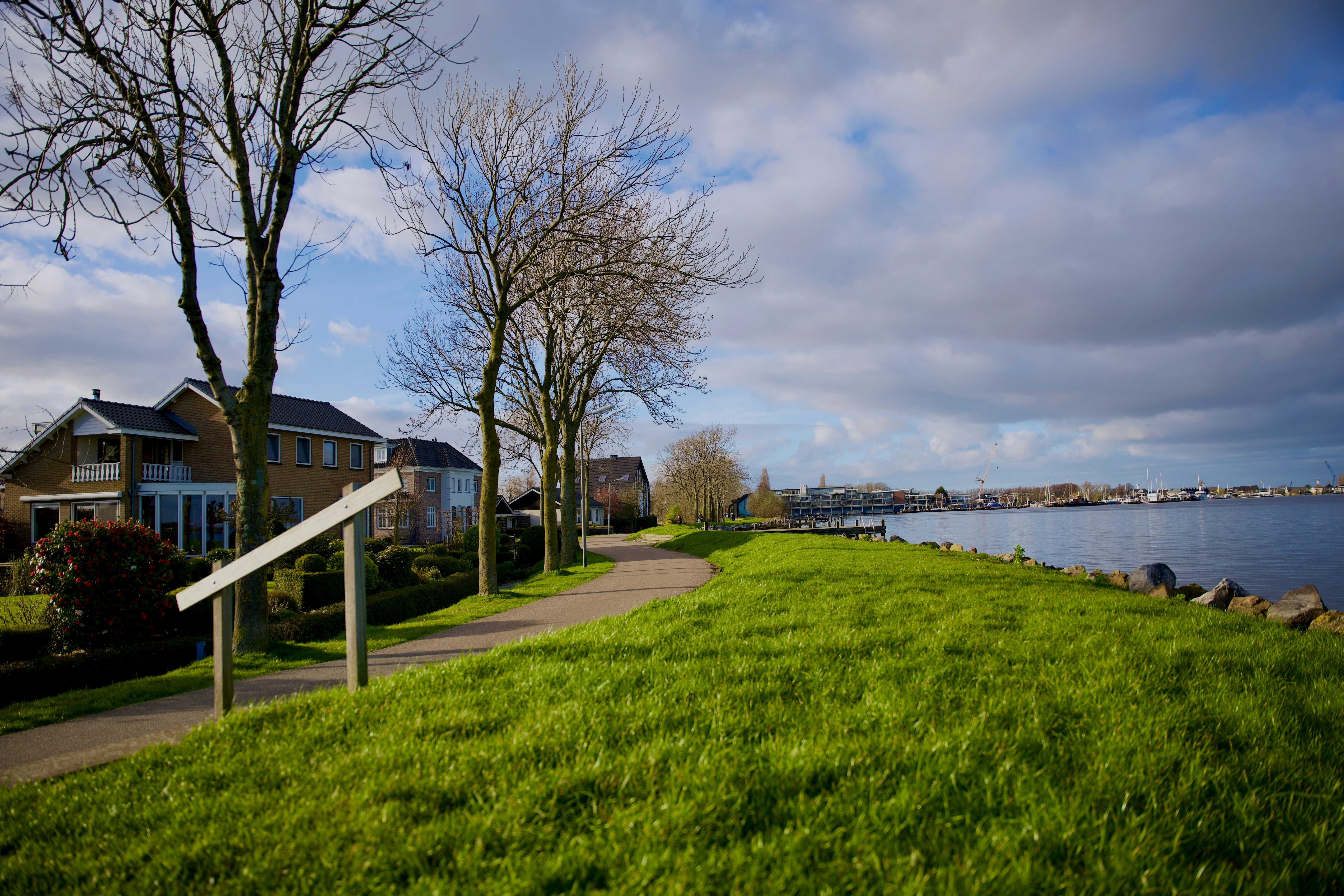 a grassy area next to a body of water