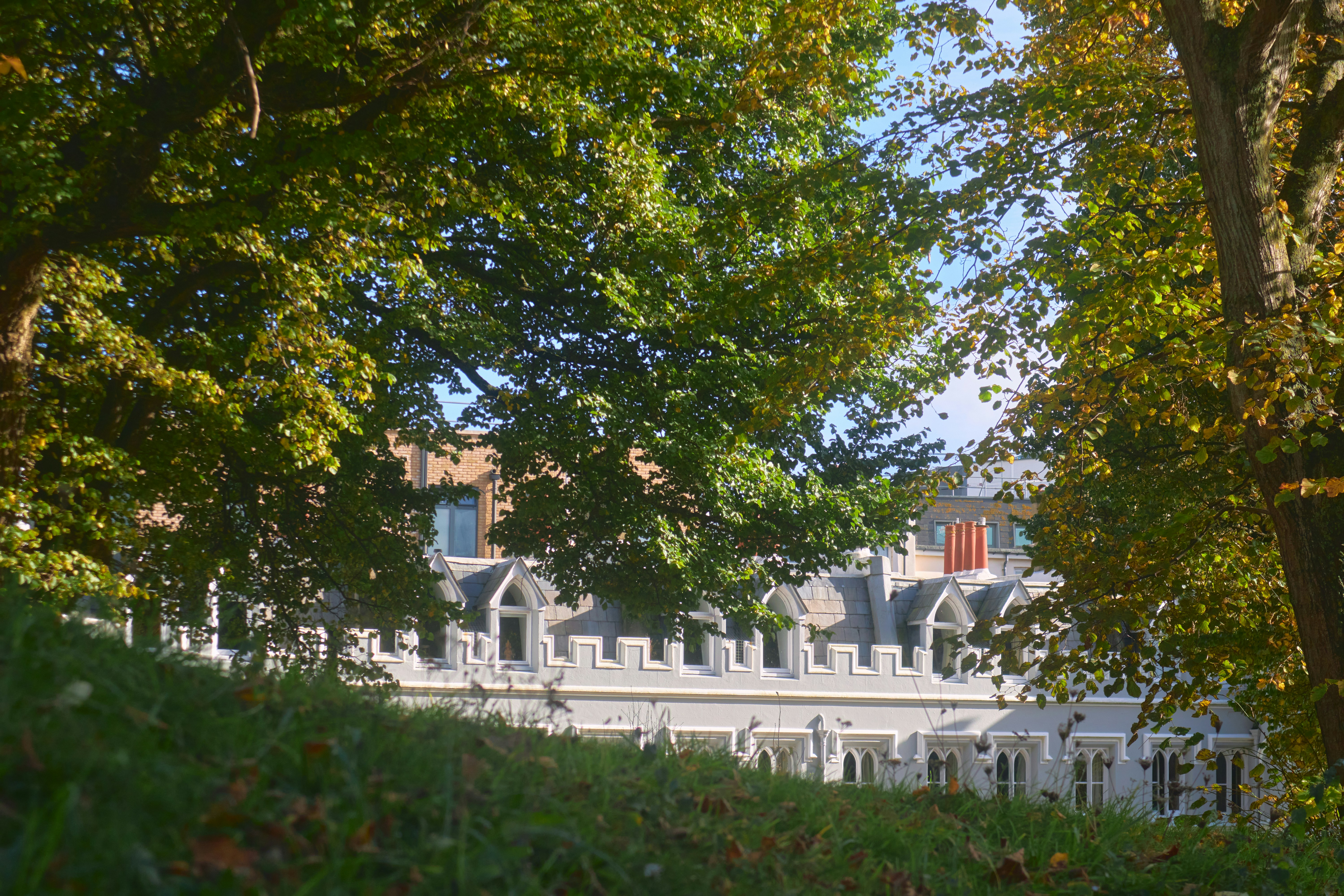 Photo by romanakash27