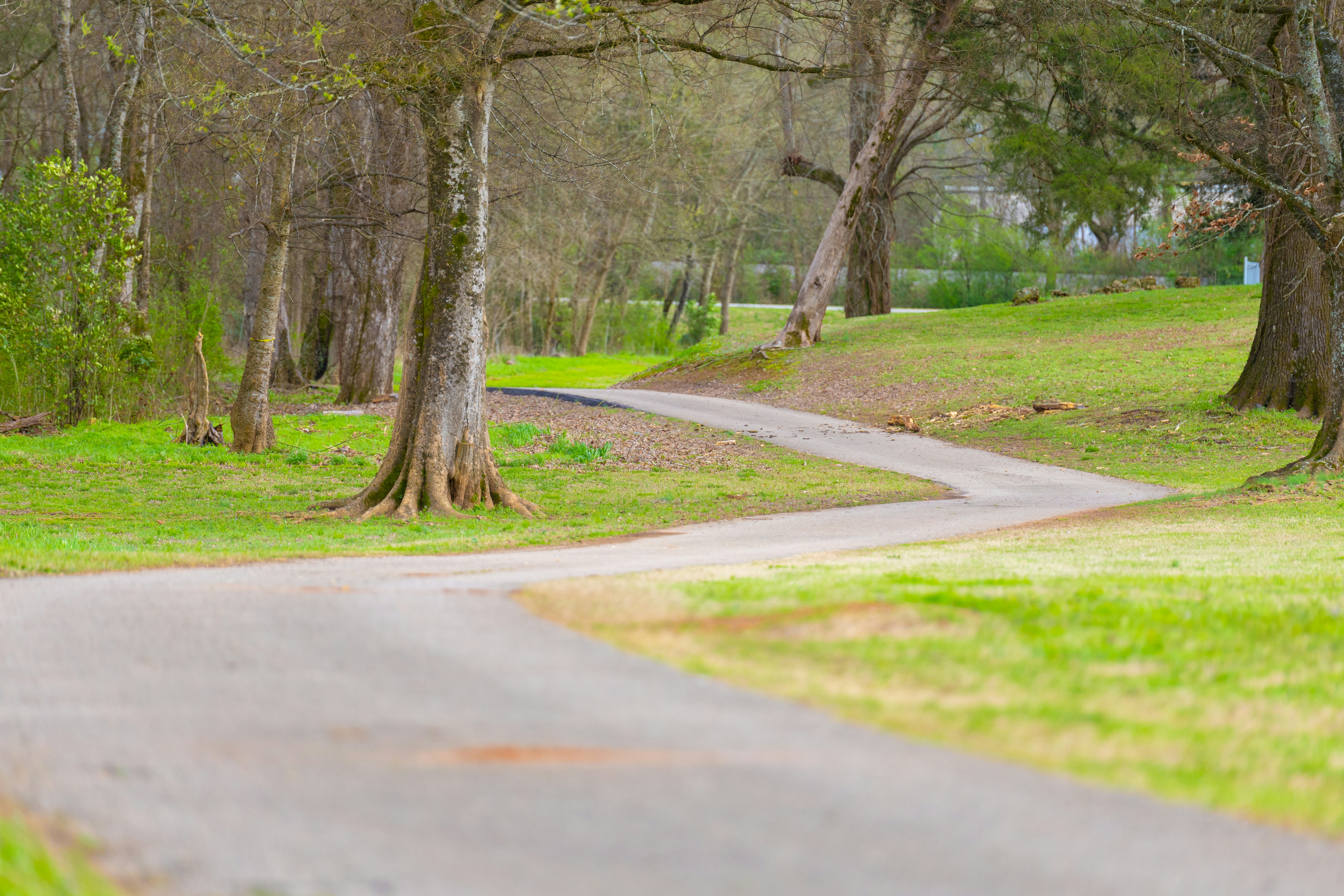 Photo by armandonoefotos