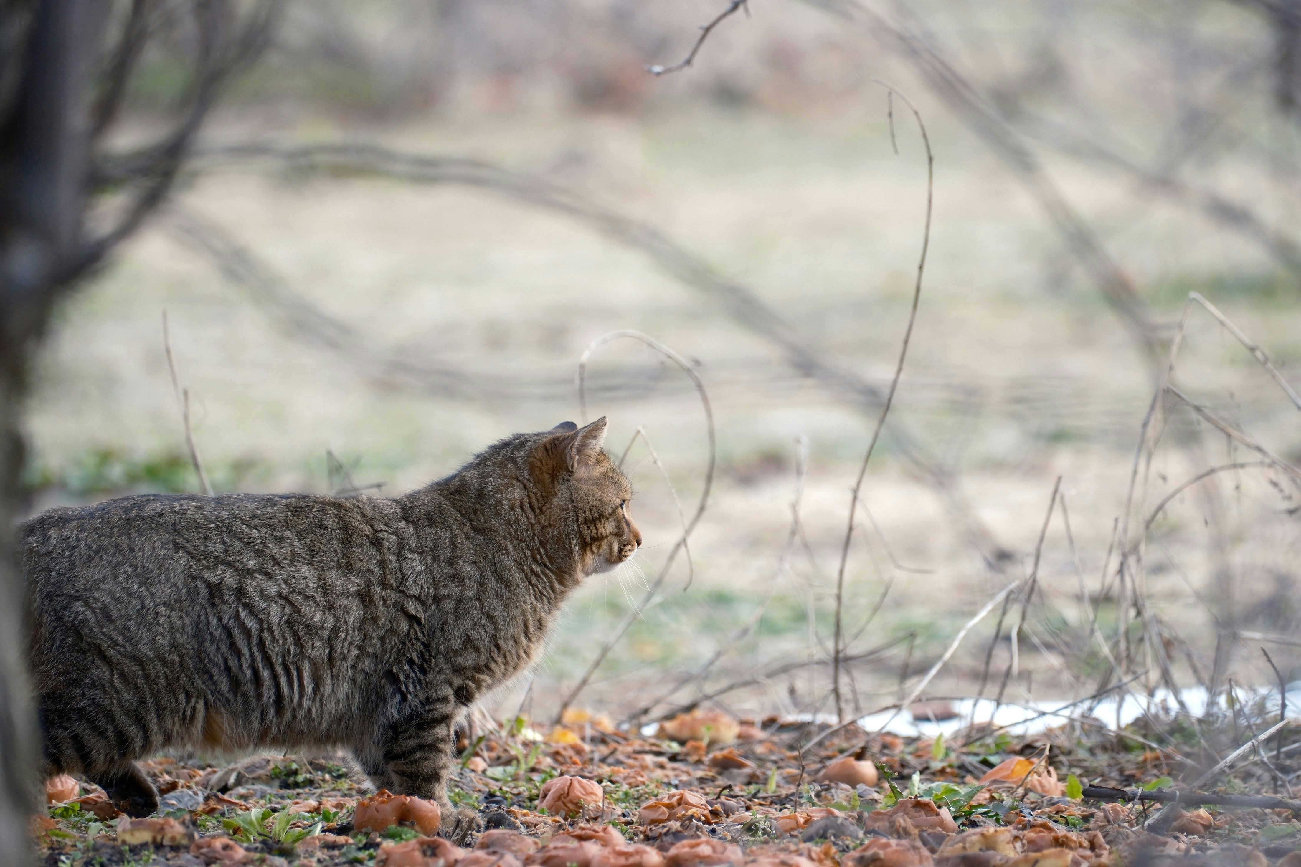 Photo by seiya_maeda