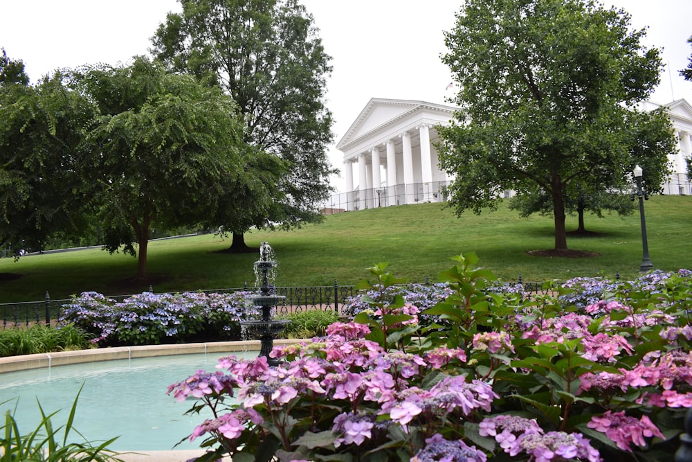 a fountain in a park with purple flowers in the foreground