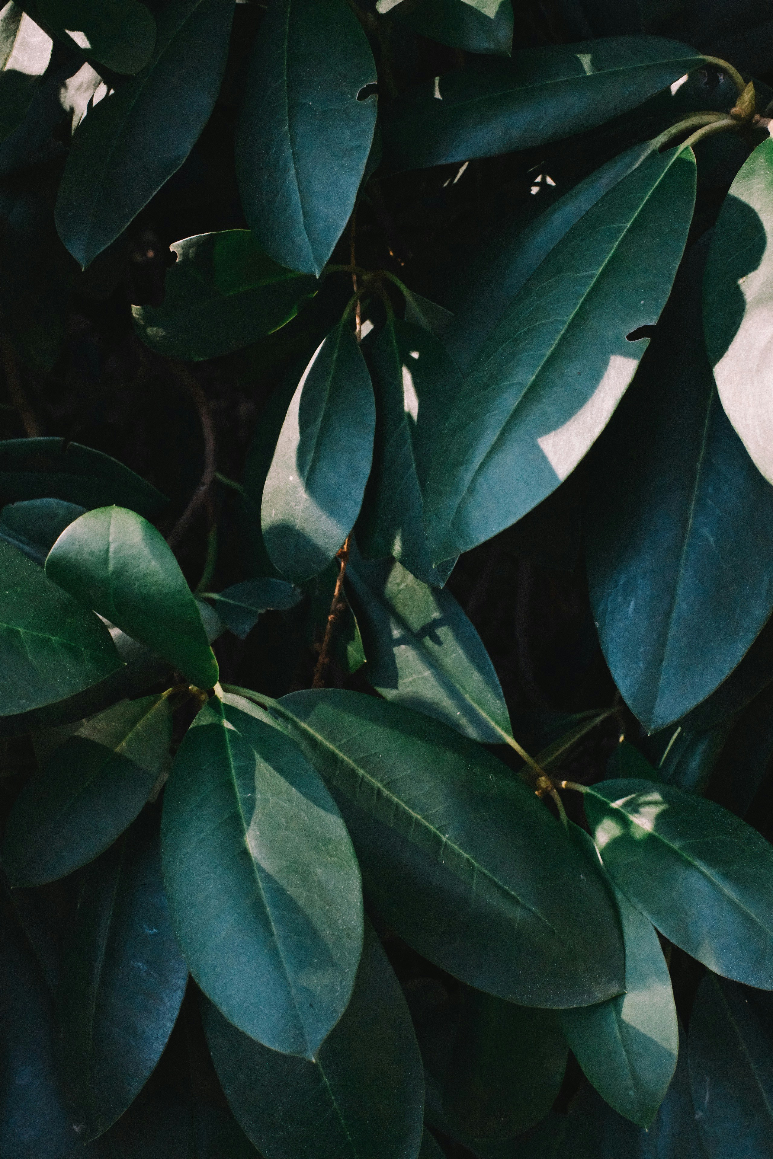 Photo by nicoletarasuk