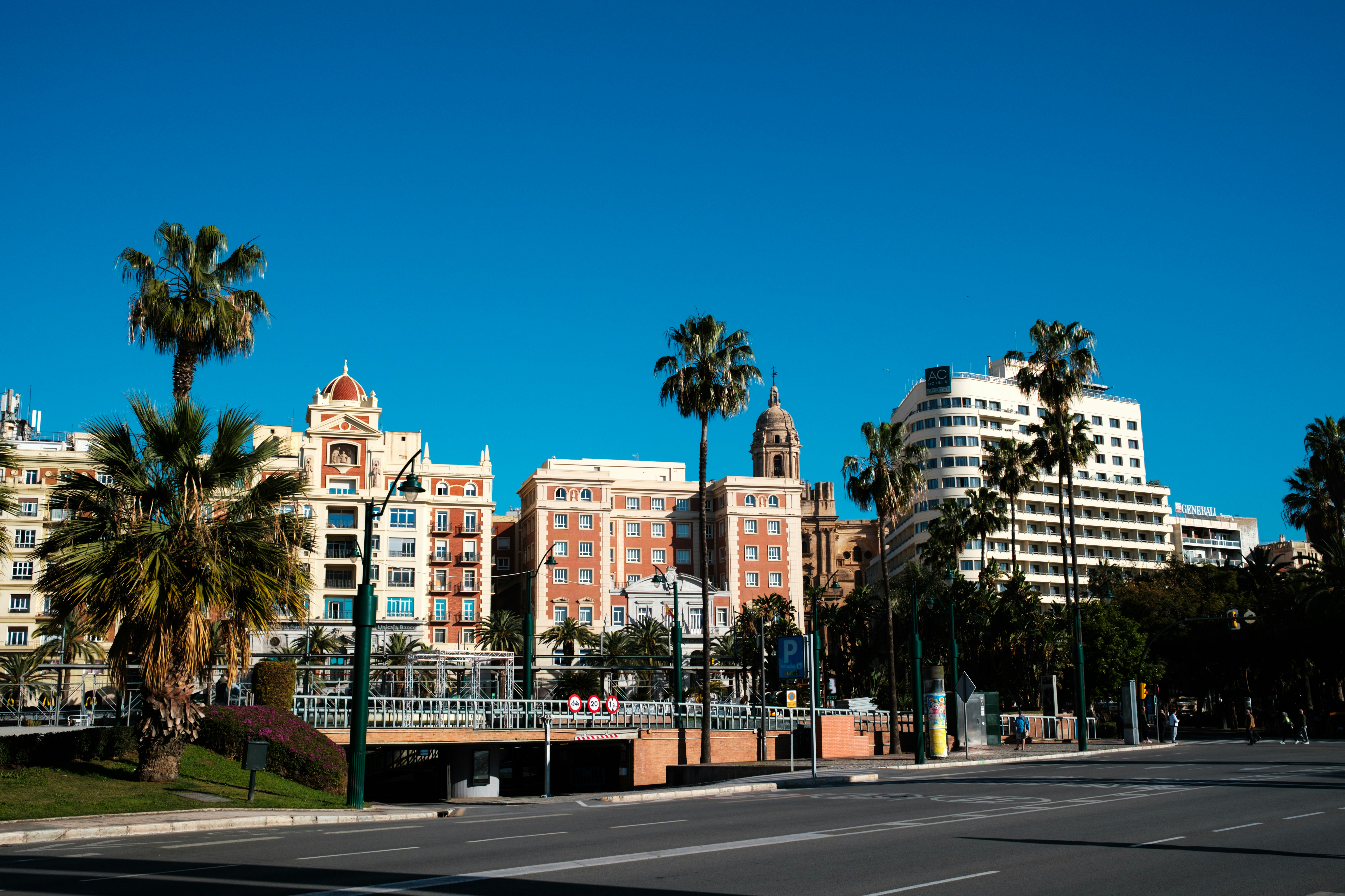a city street with palm trees and buildings in the background, A sunny day in Malaga, Spain.
