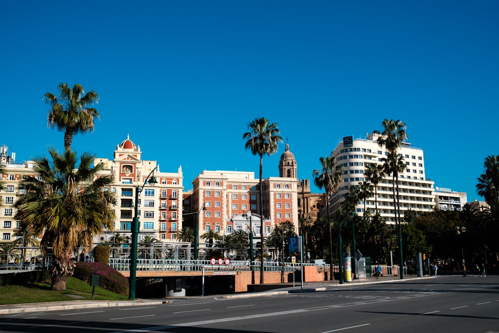 a city street with palm trees and buildings in the background