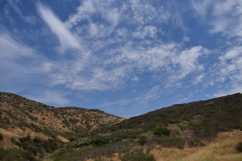 a grassy hill with a blue sky in the background