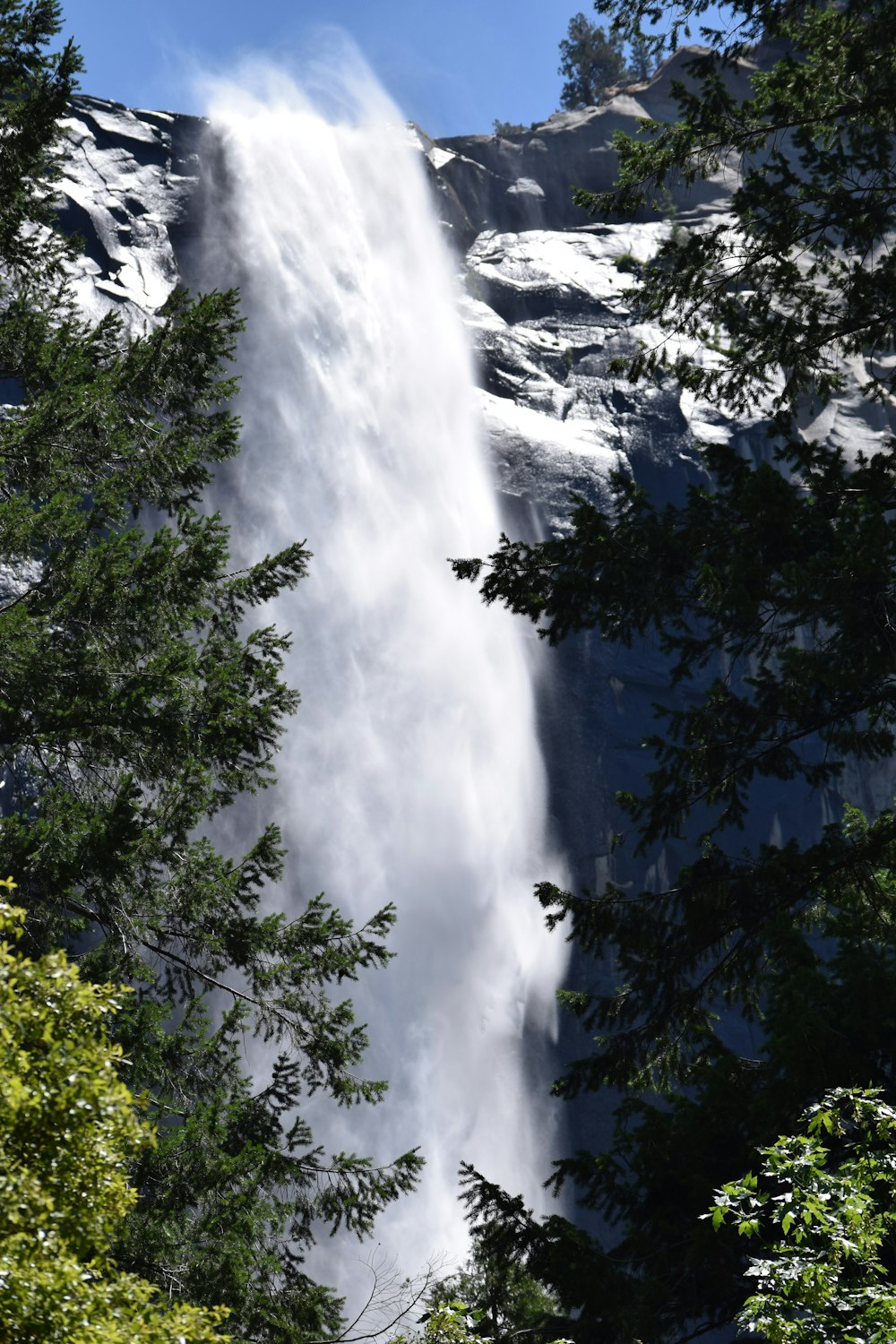 a tall waterfall towering over a forest filled with trees