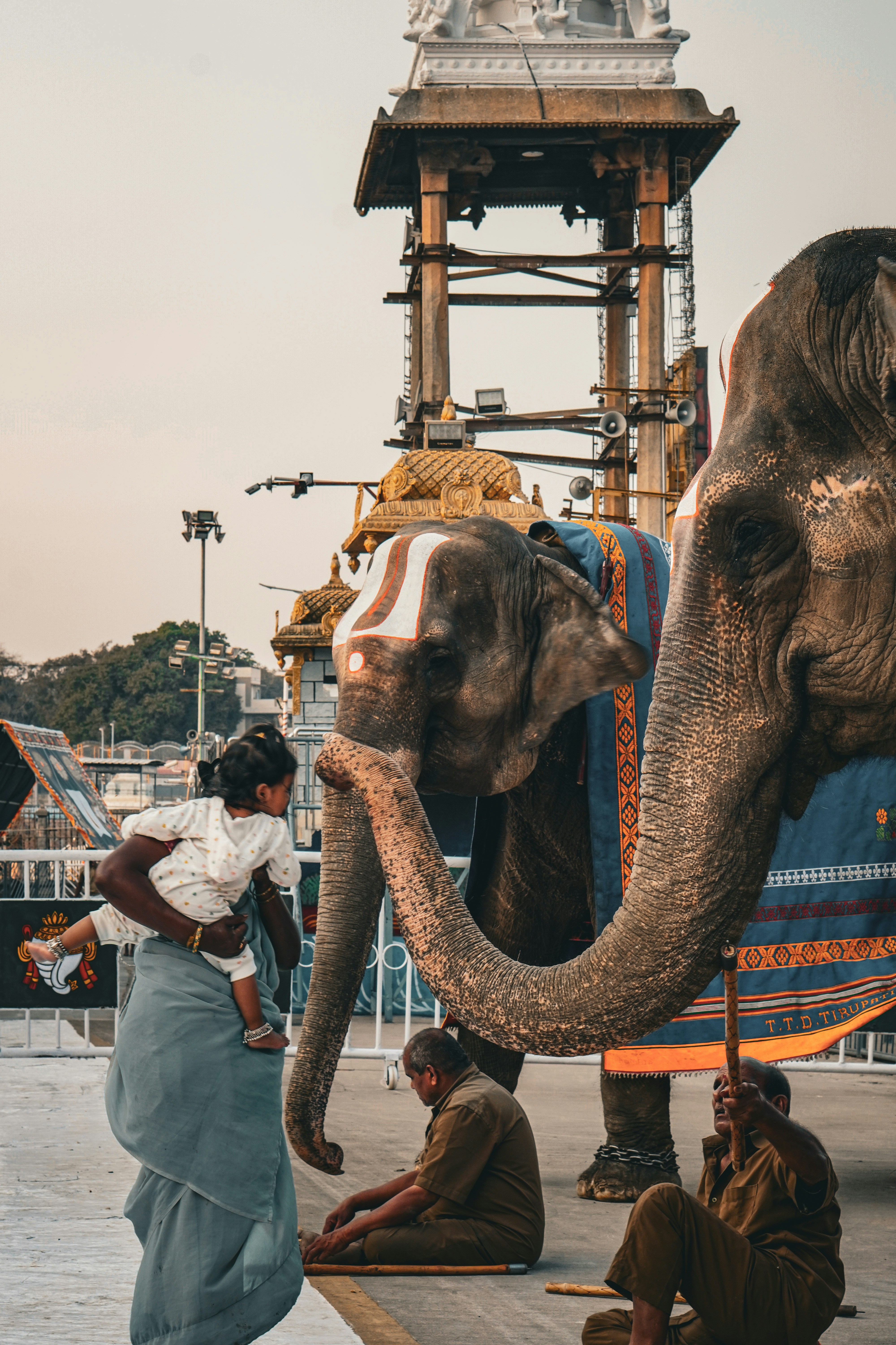 Photo by vinaymanda