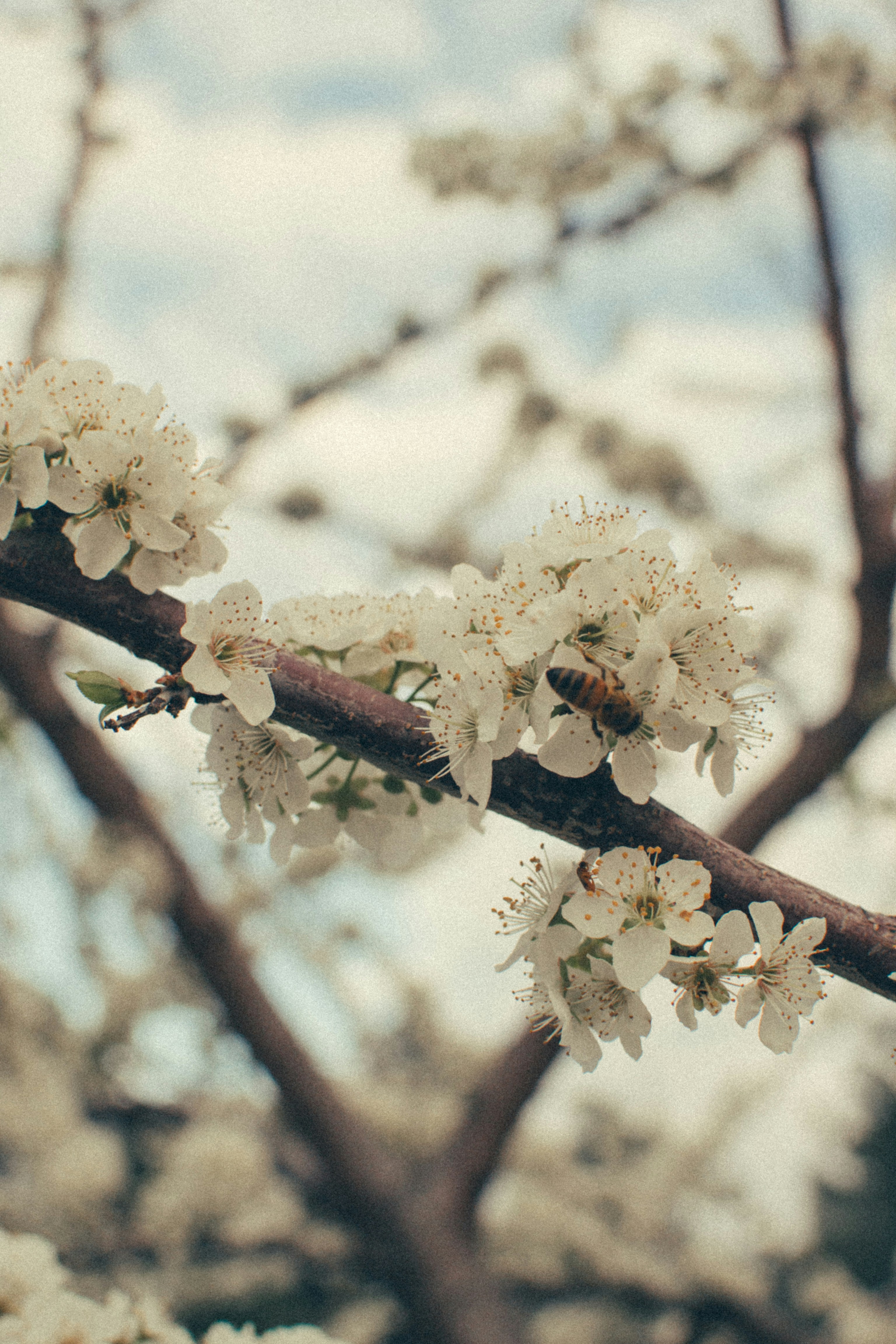 Photo by elena_photo_it