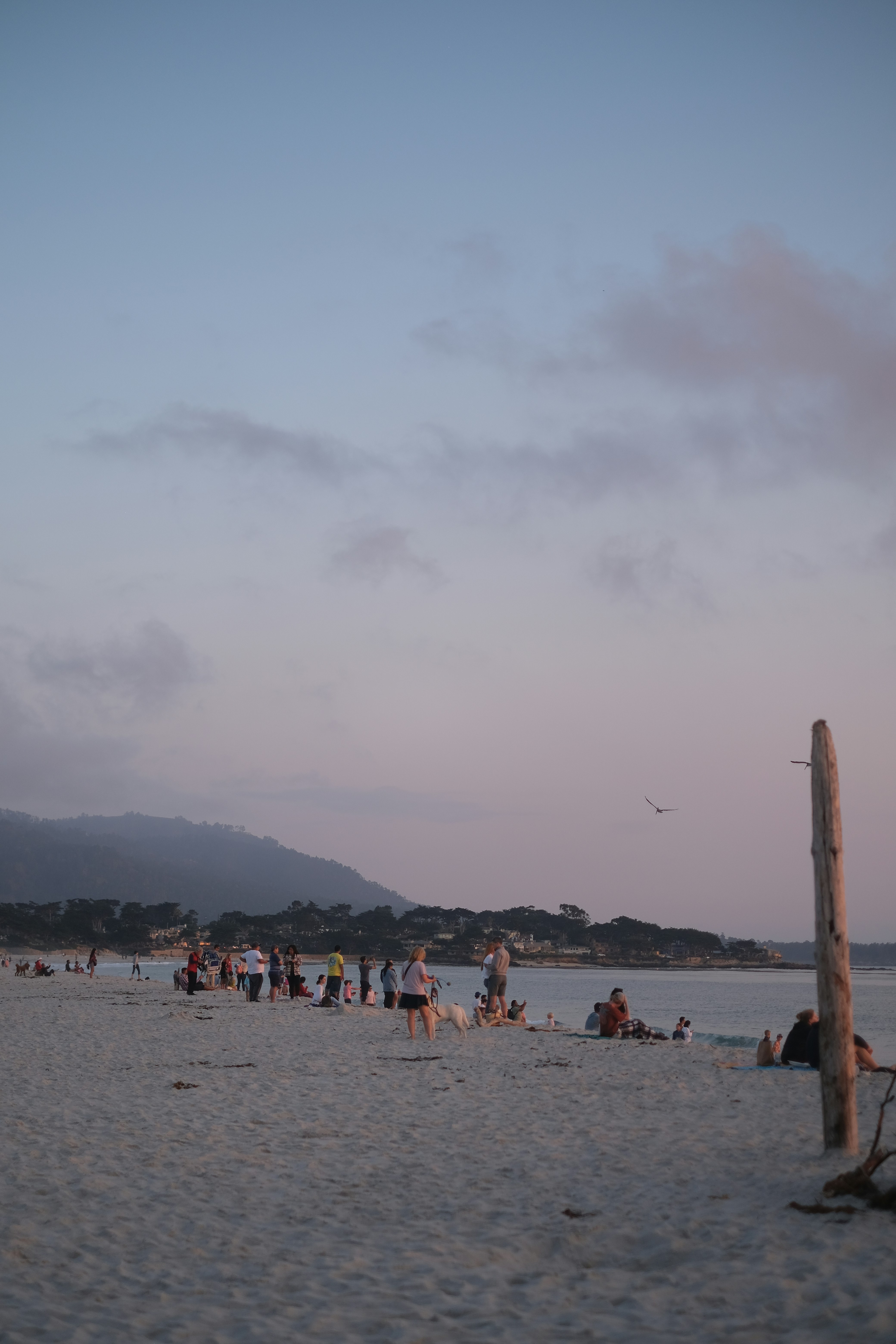 Limburgse heuvels en natuur perfect voor vakantie met hond