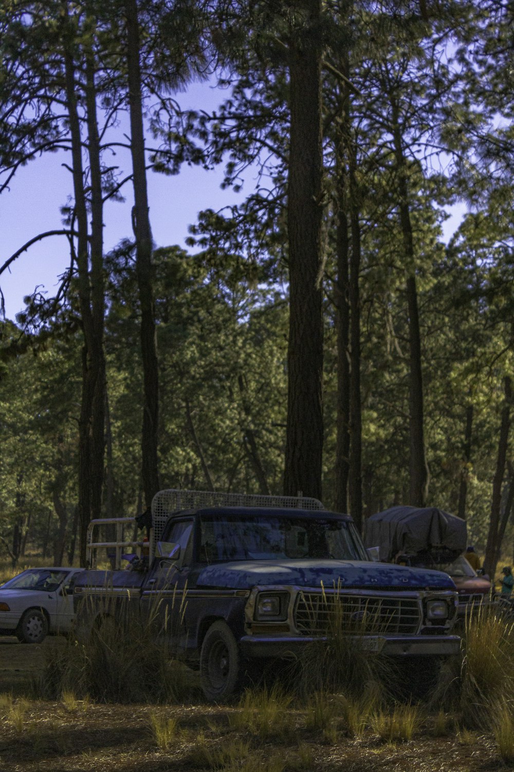 a truck parked in the middle of a forest