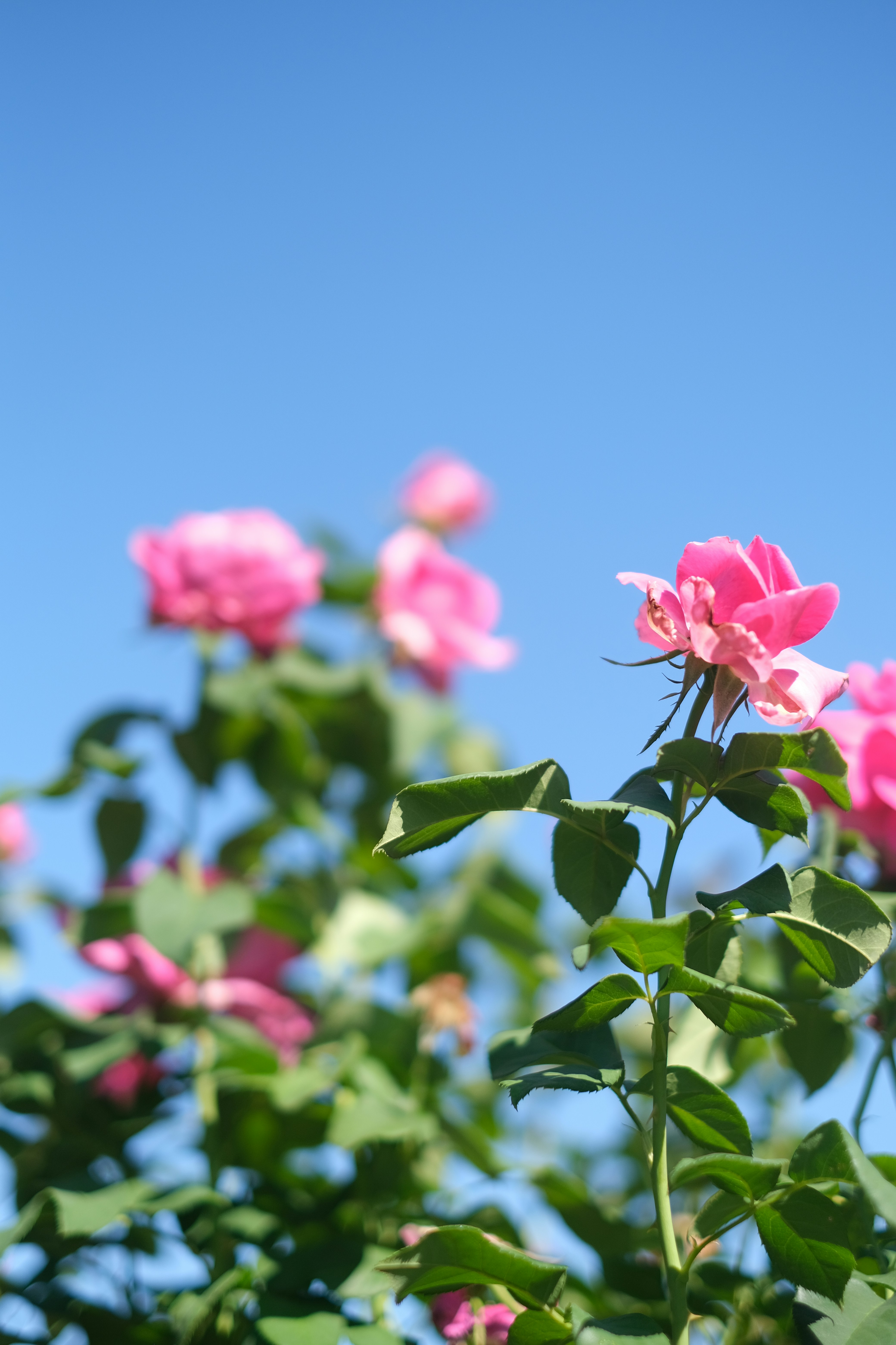 Photo by jonathantrans