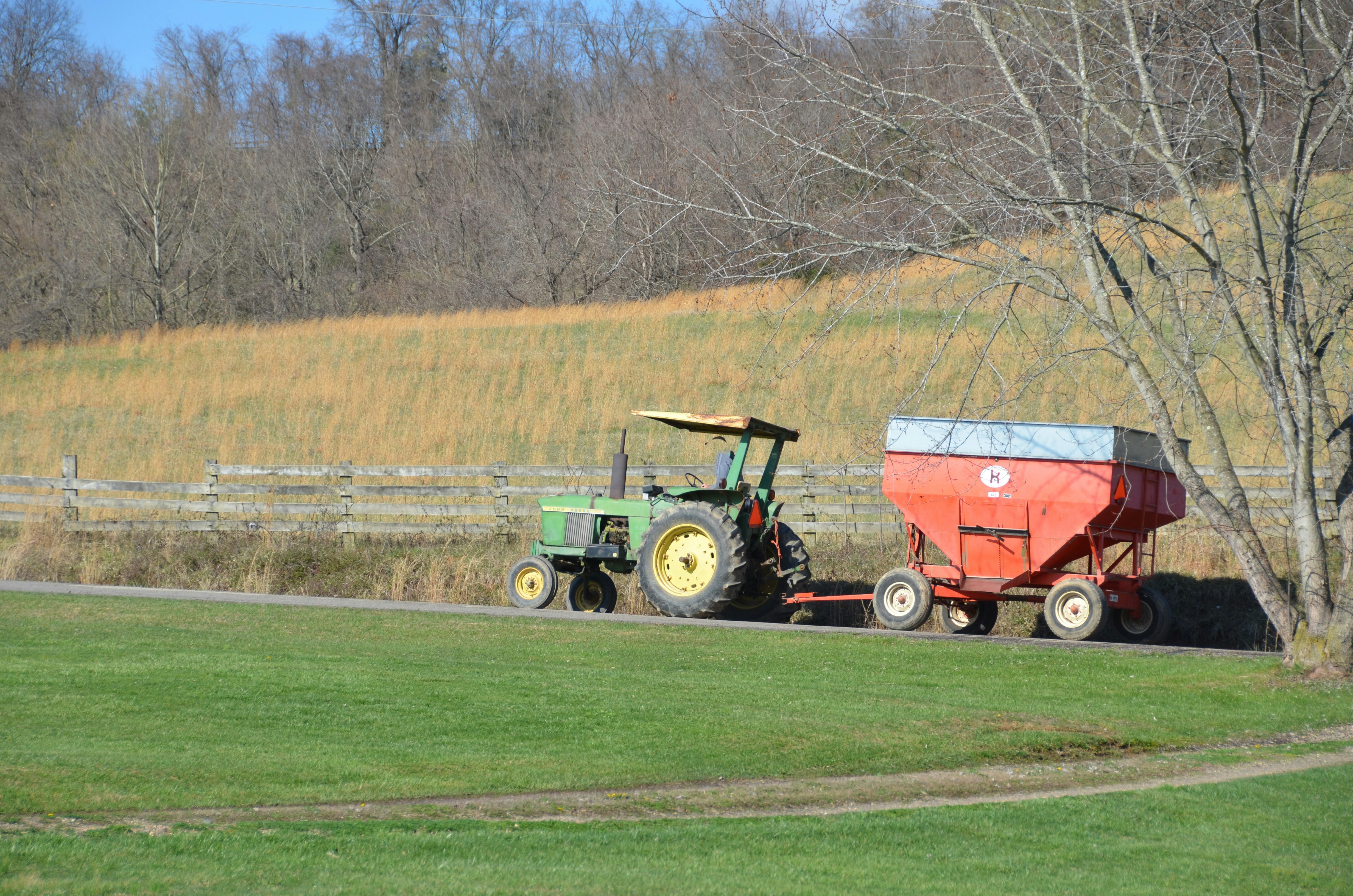 spreading grass seed