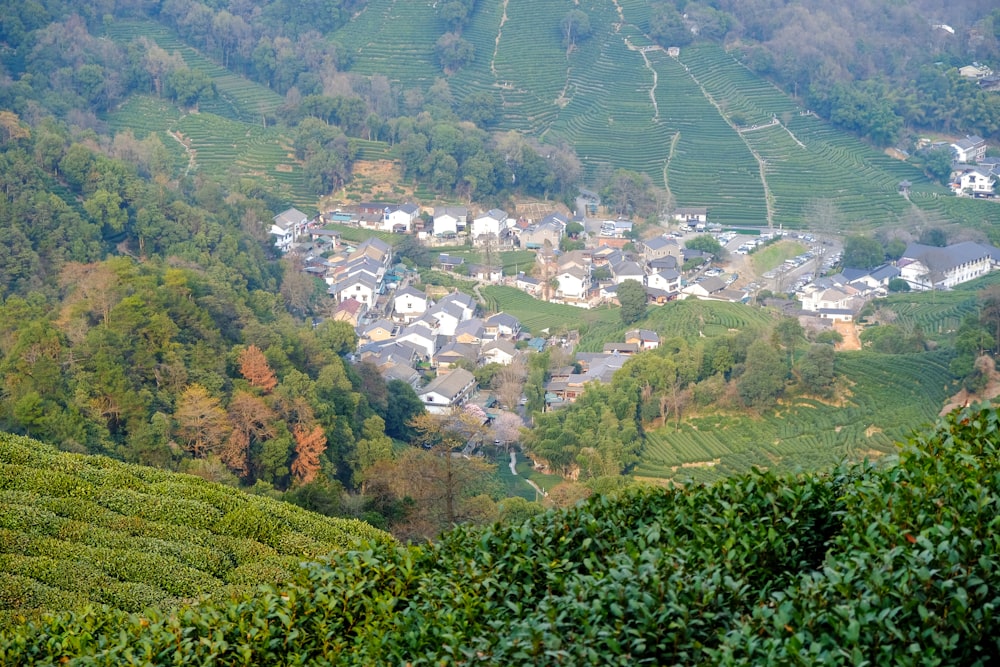 a view of a village in the middle of a tea estate