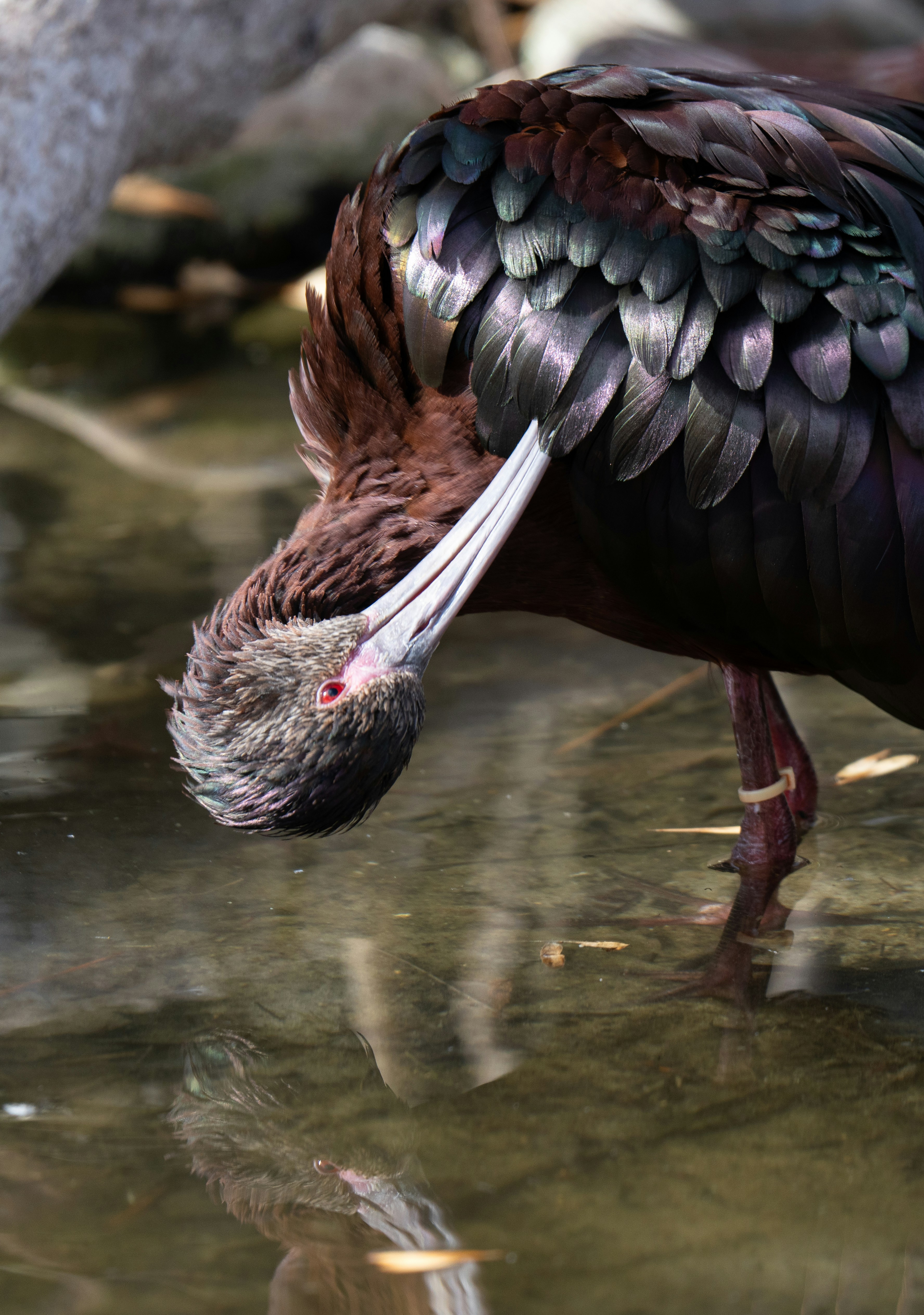 Photo by alexmoliski