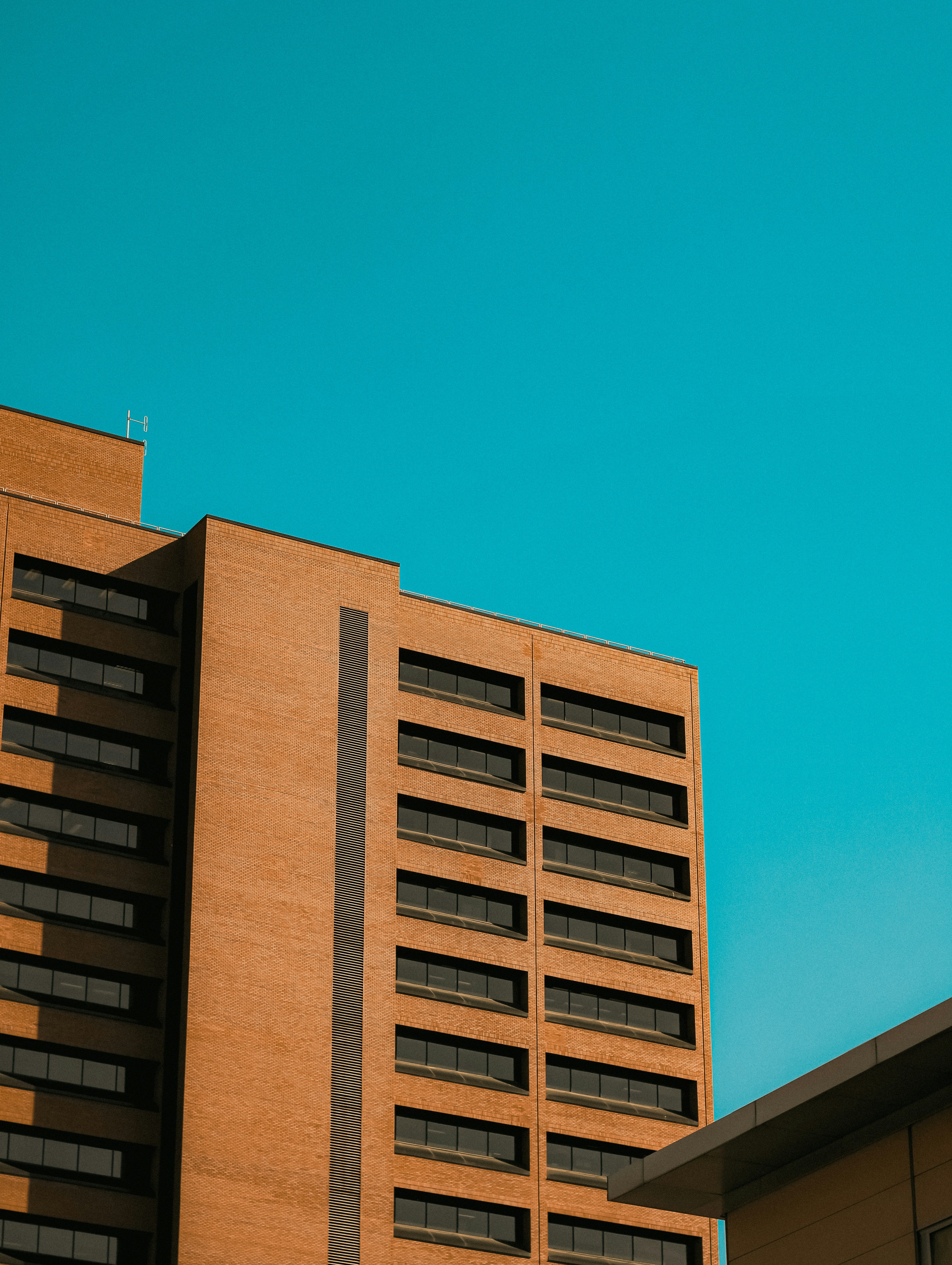 Photo by linusbelanger