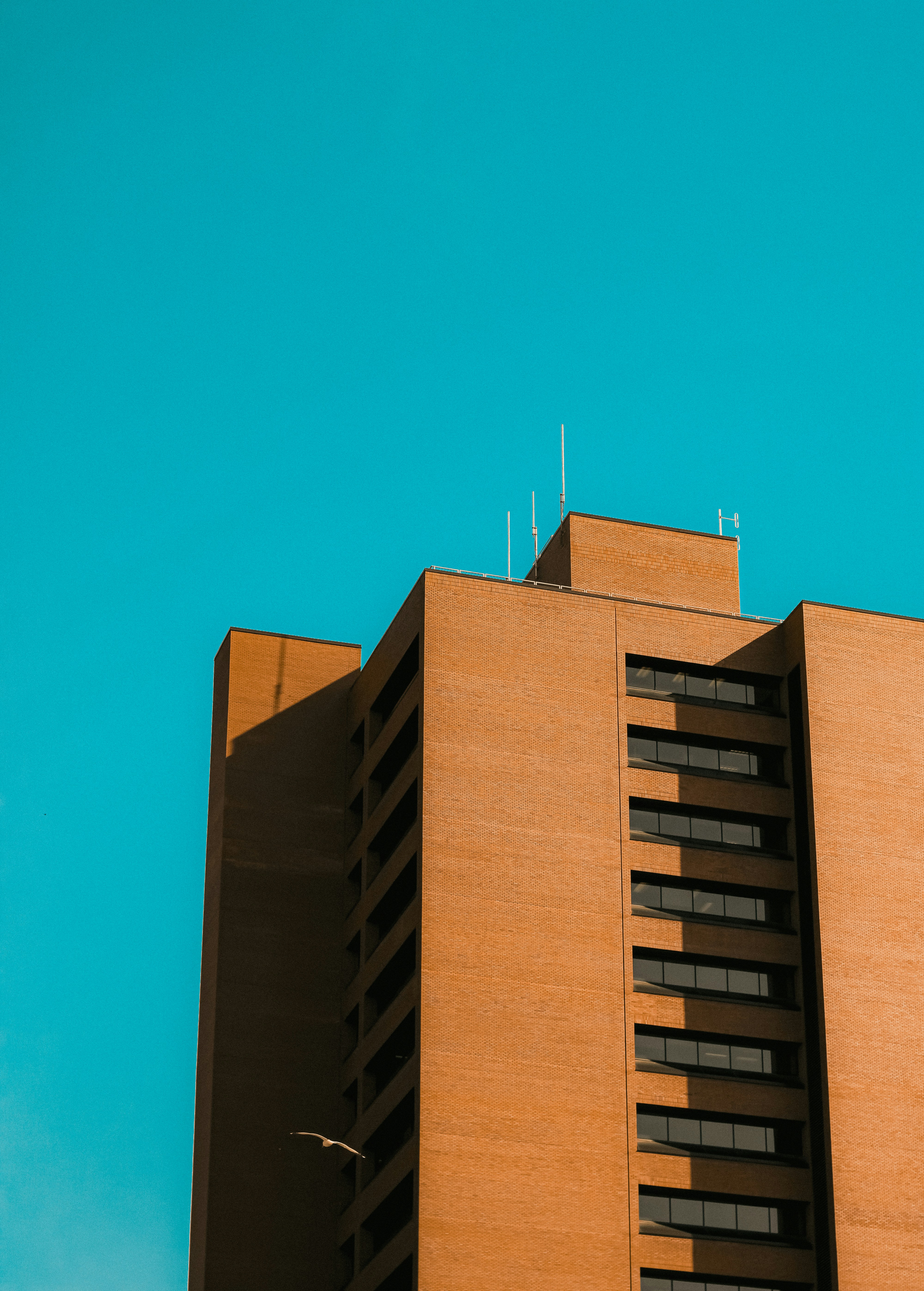 Photo by linusbelanger