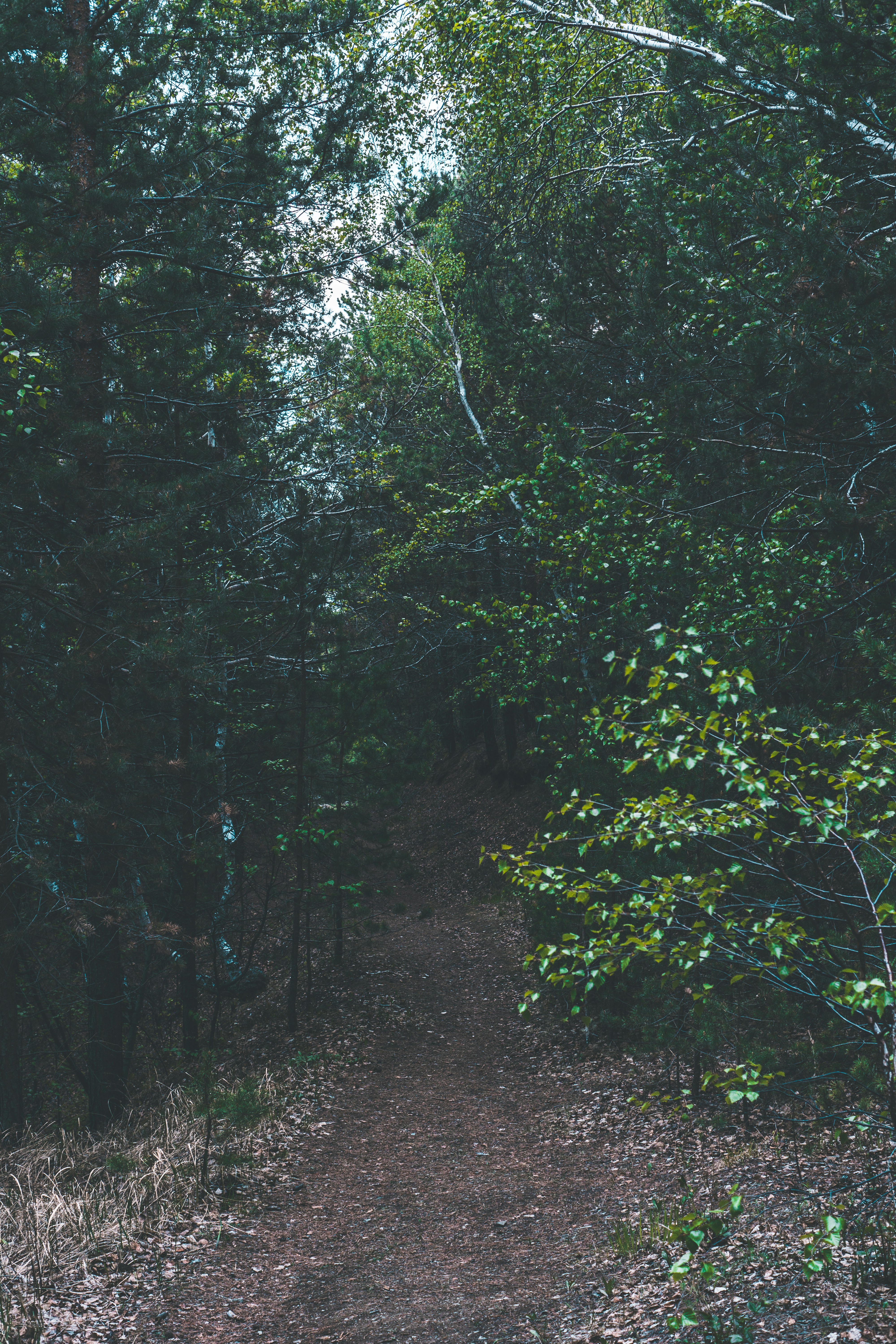 Photo by kirill_photographer