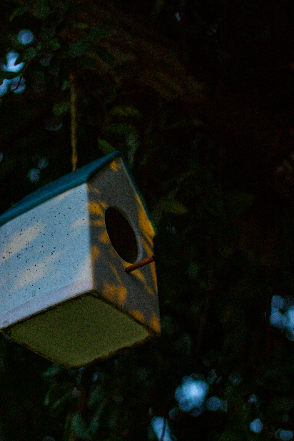 a birdhouse hanging from a tree in the dark