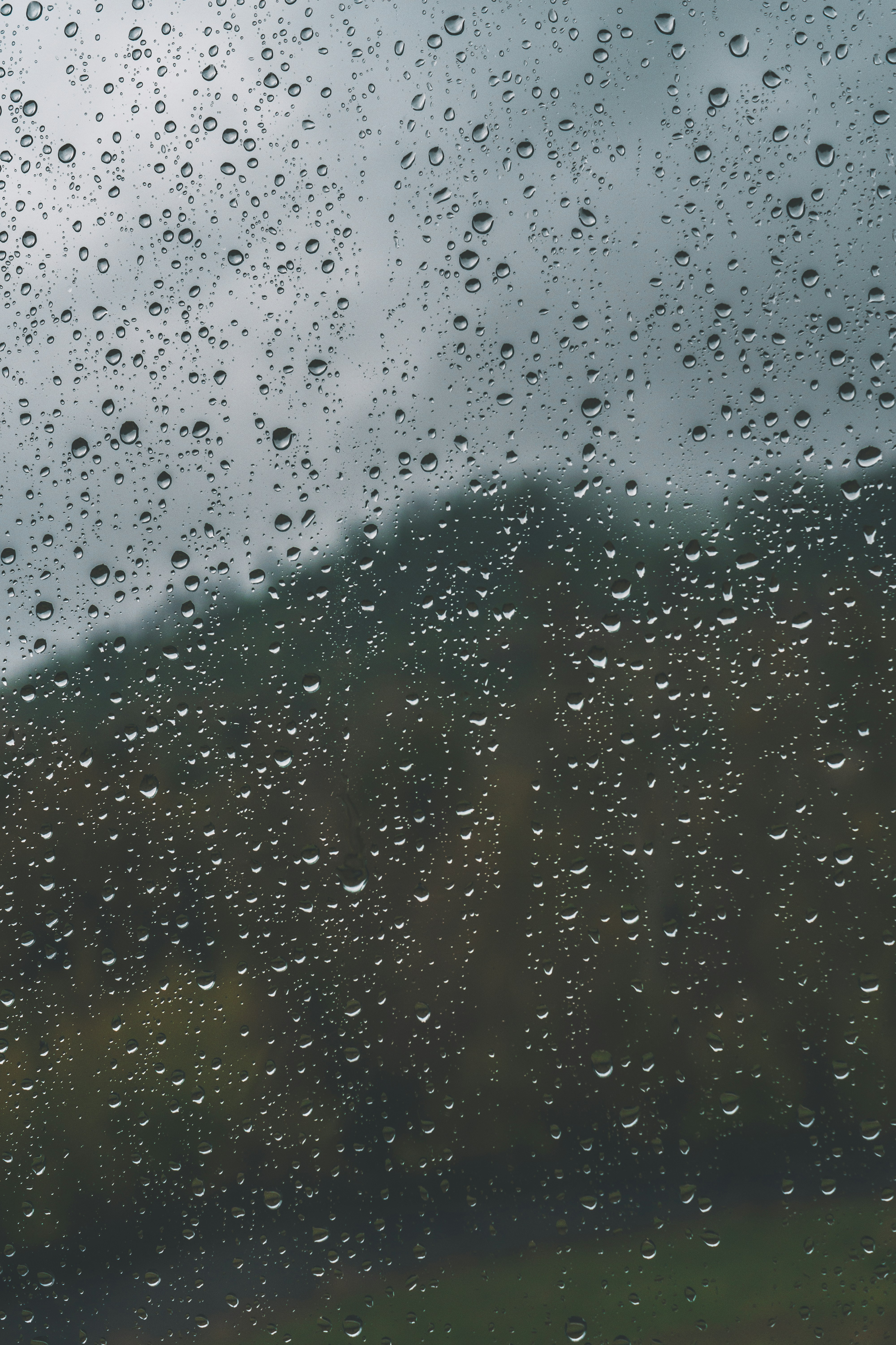 Photo by kirill_photographer