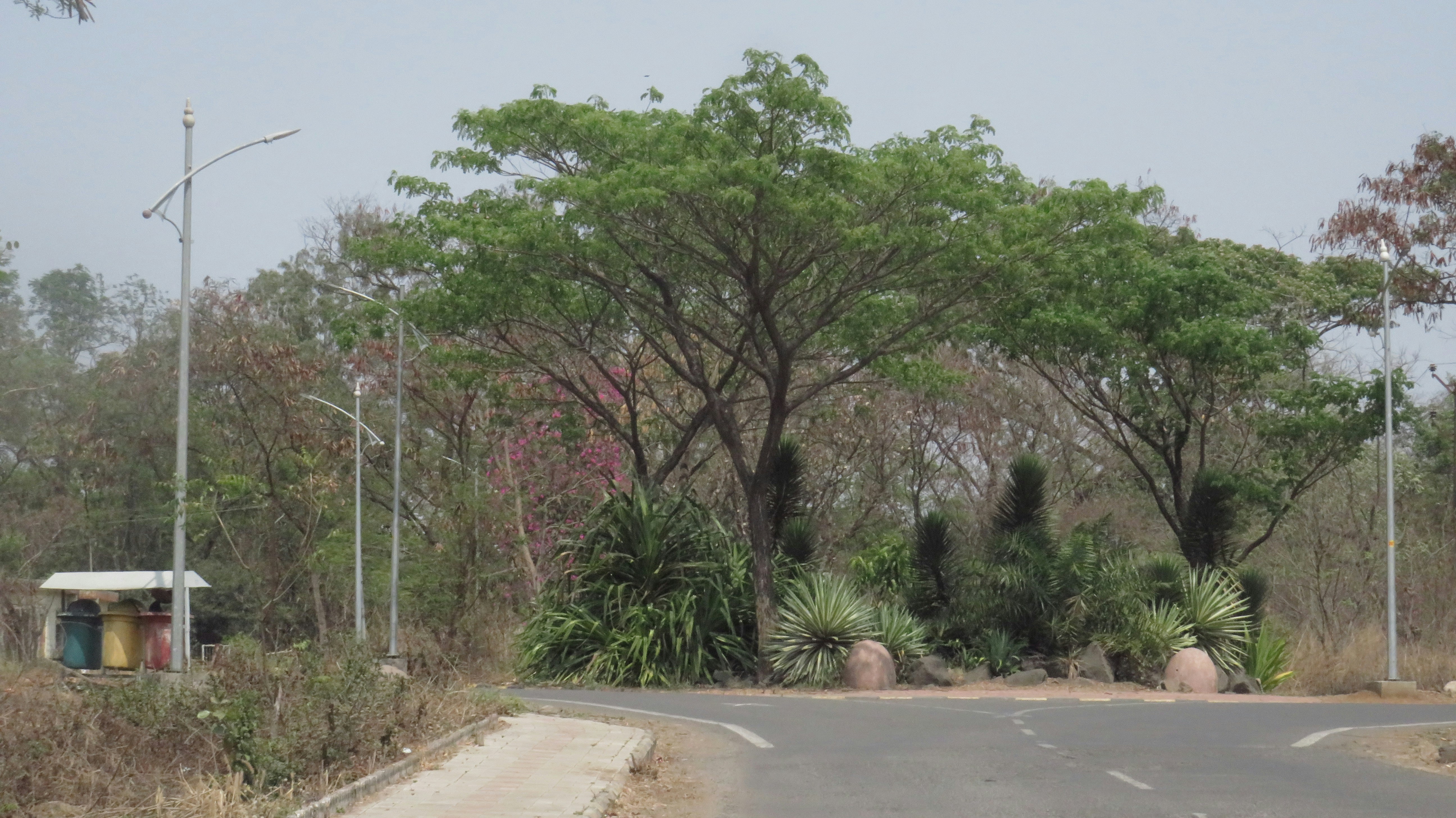 Photo by mangesh_0708