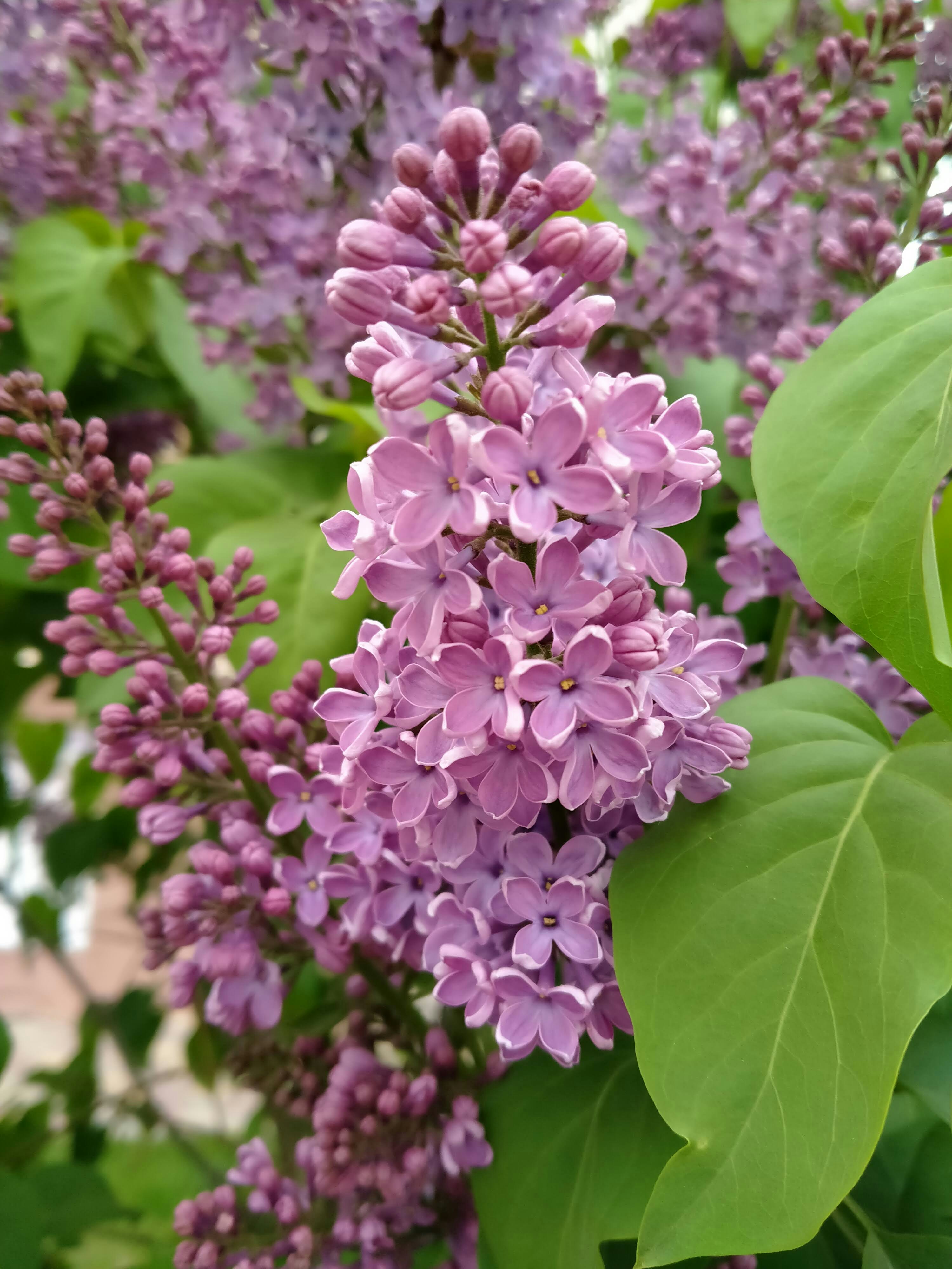 Photo by igornevzgliad