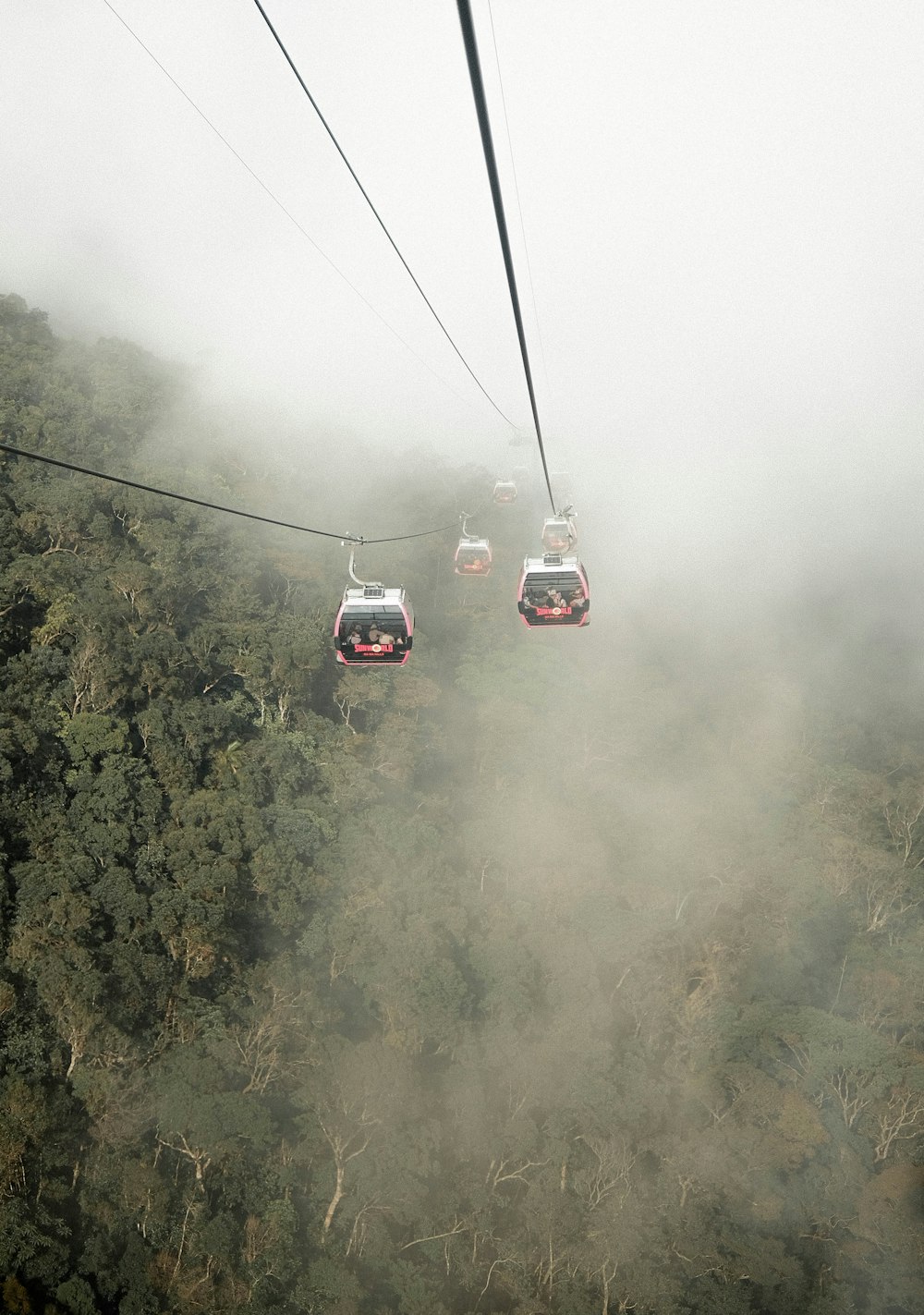 a couple of cars that are in the air