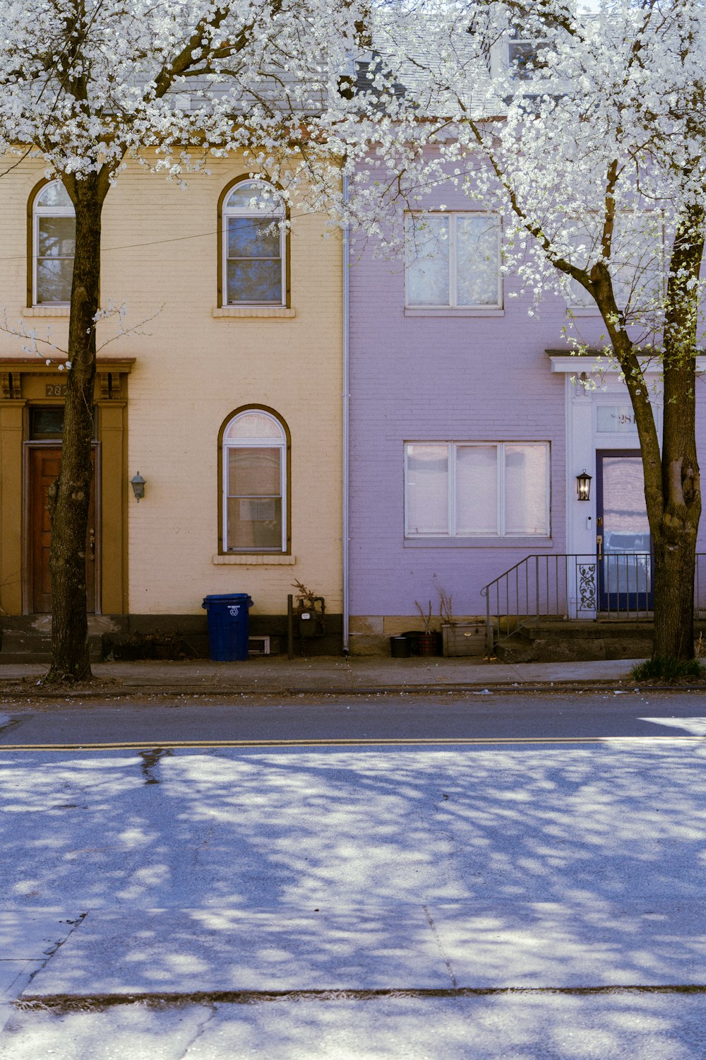 a yellow and pink house with trees in front of it