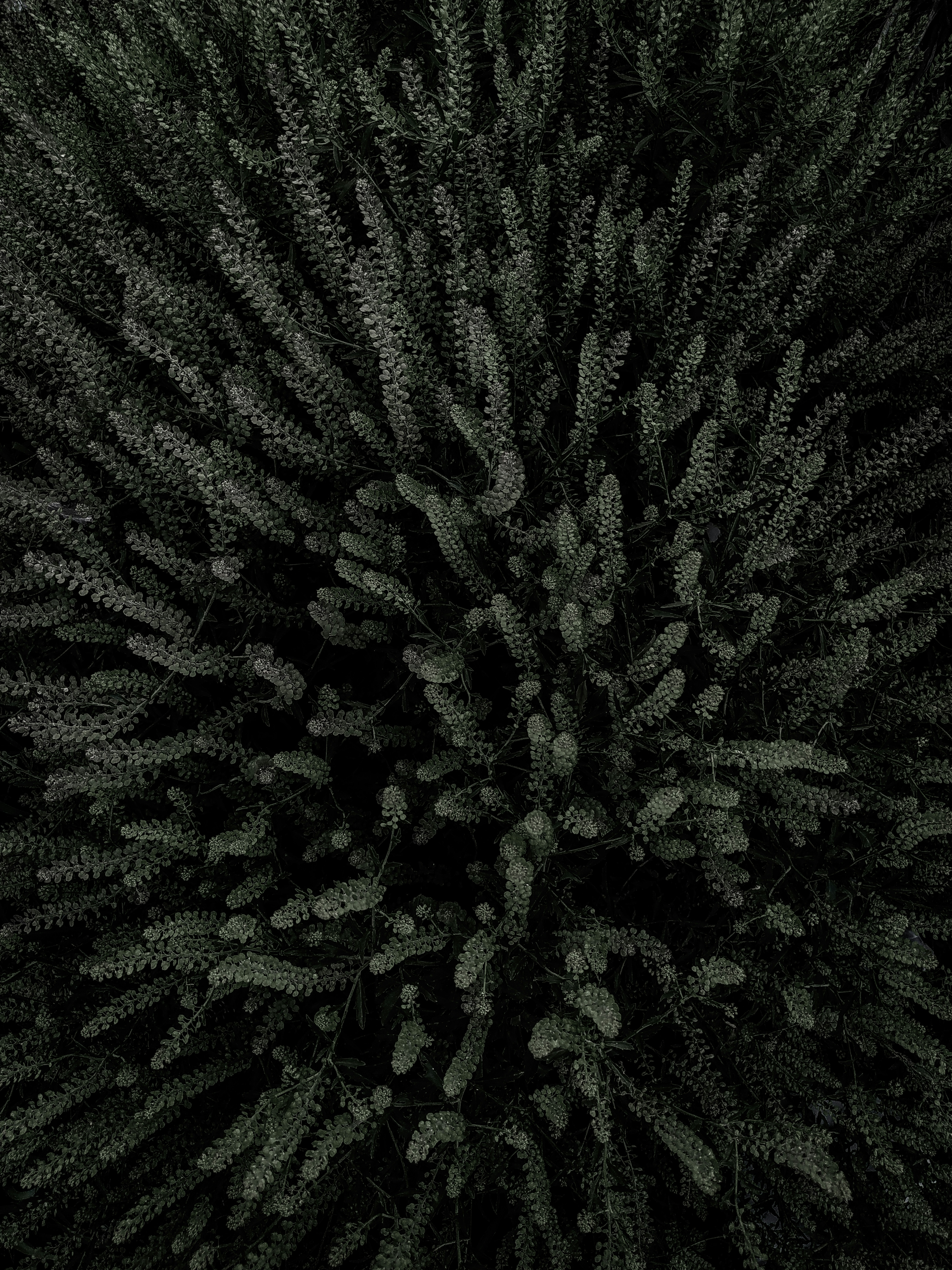 Photo by benyi_ortiz