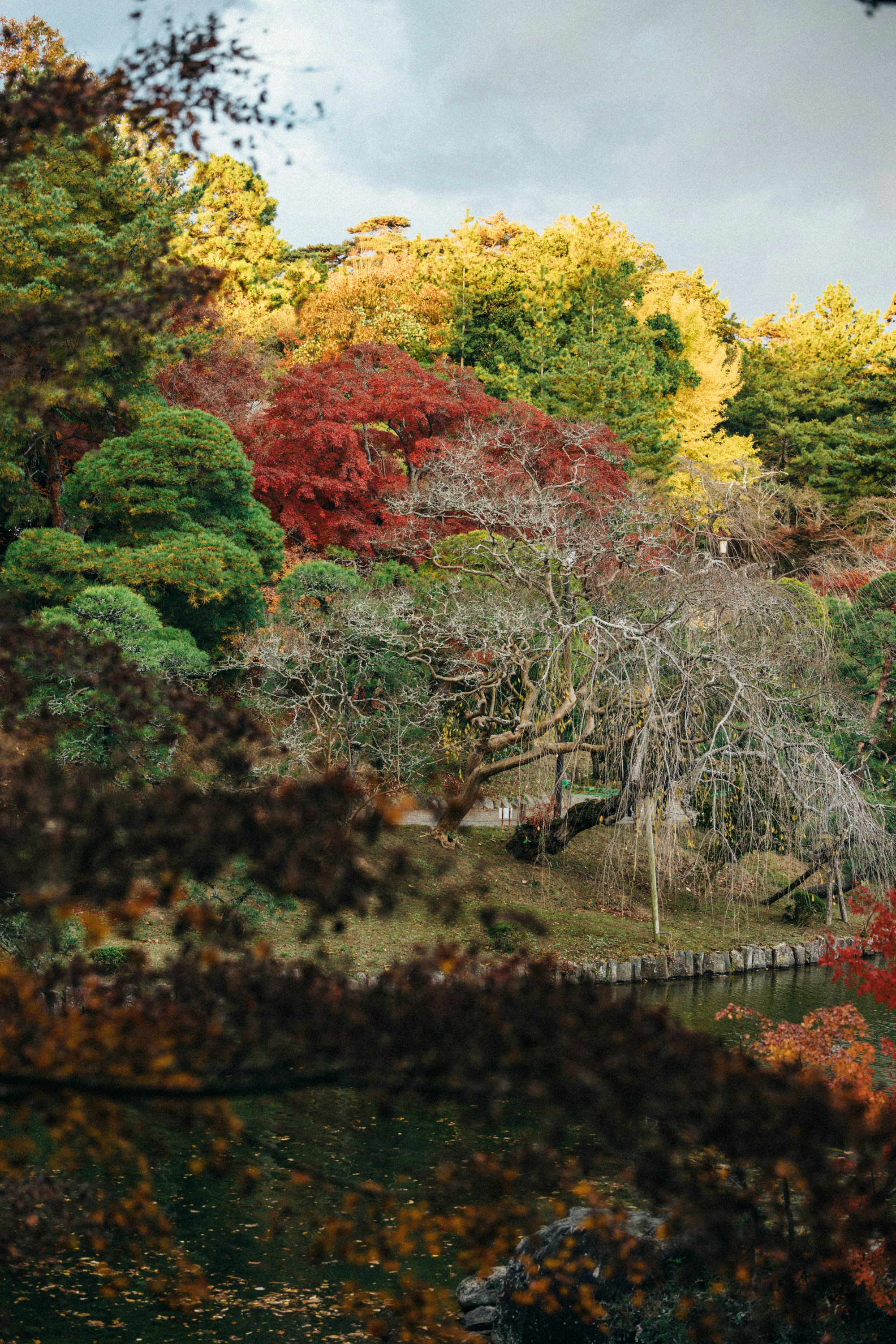 Photo by tsuyoshikozu