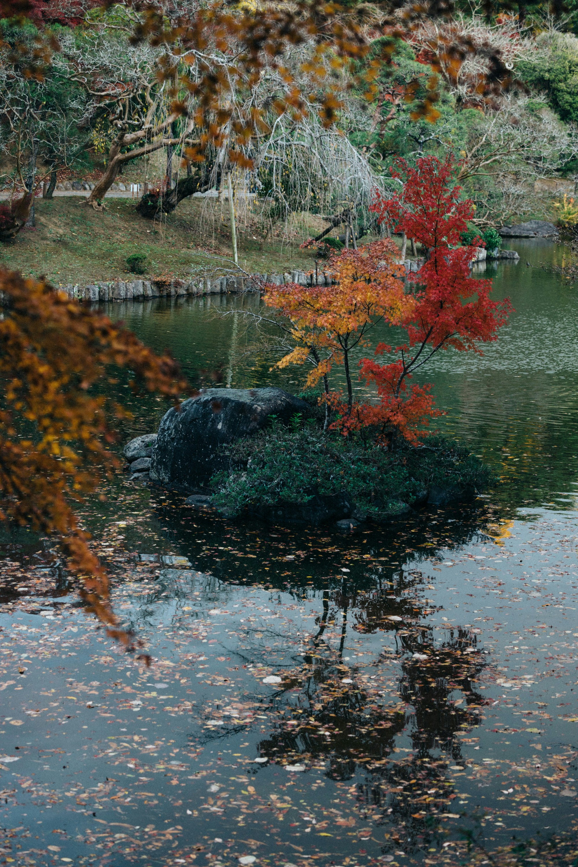 Photo by tsuyoshikozu