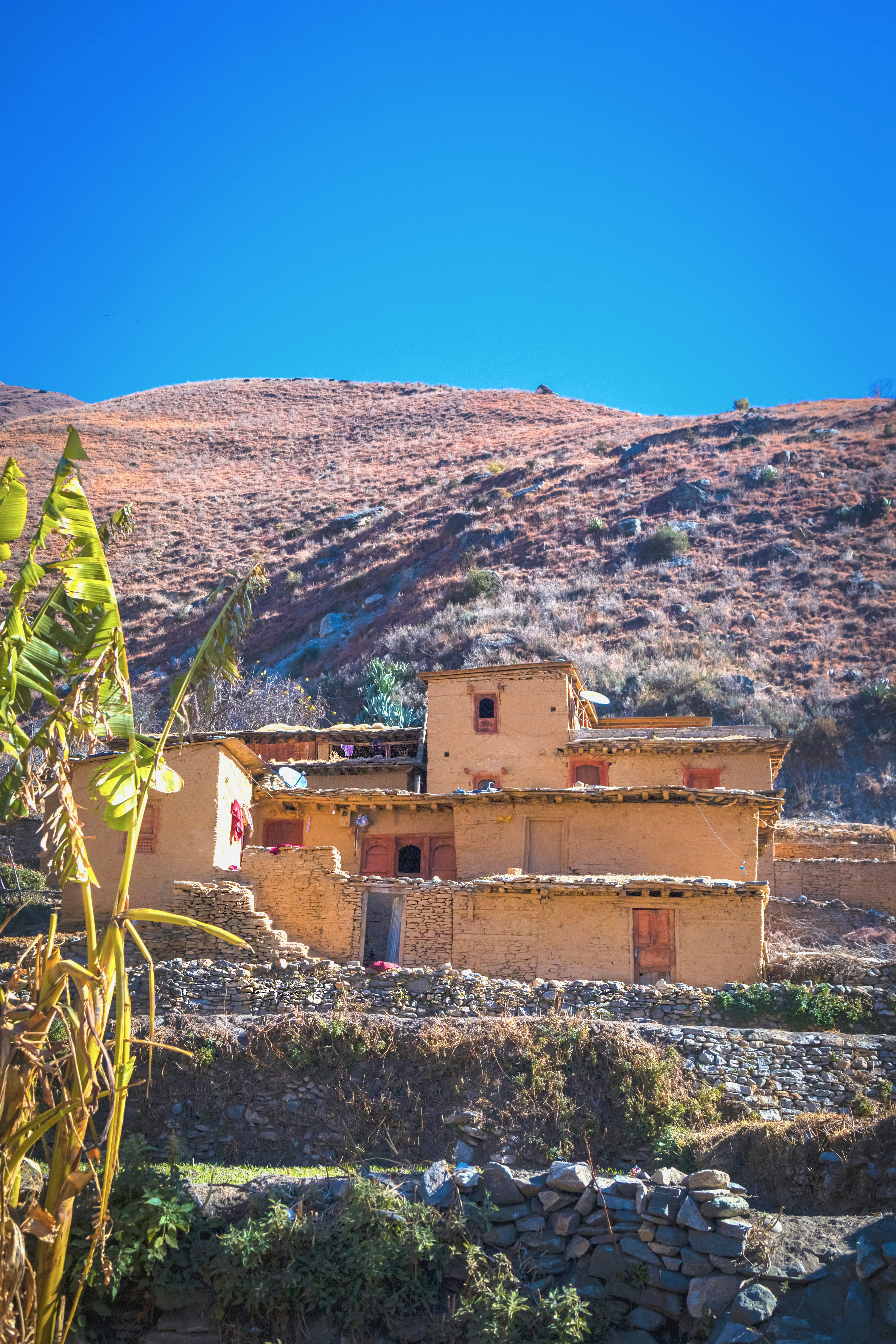 Photo by ashokjkshetri