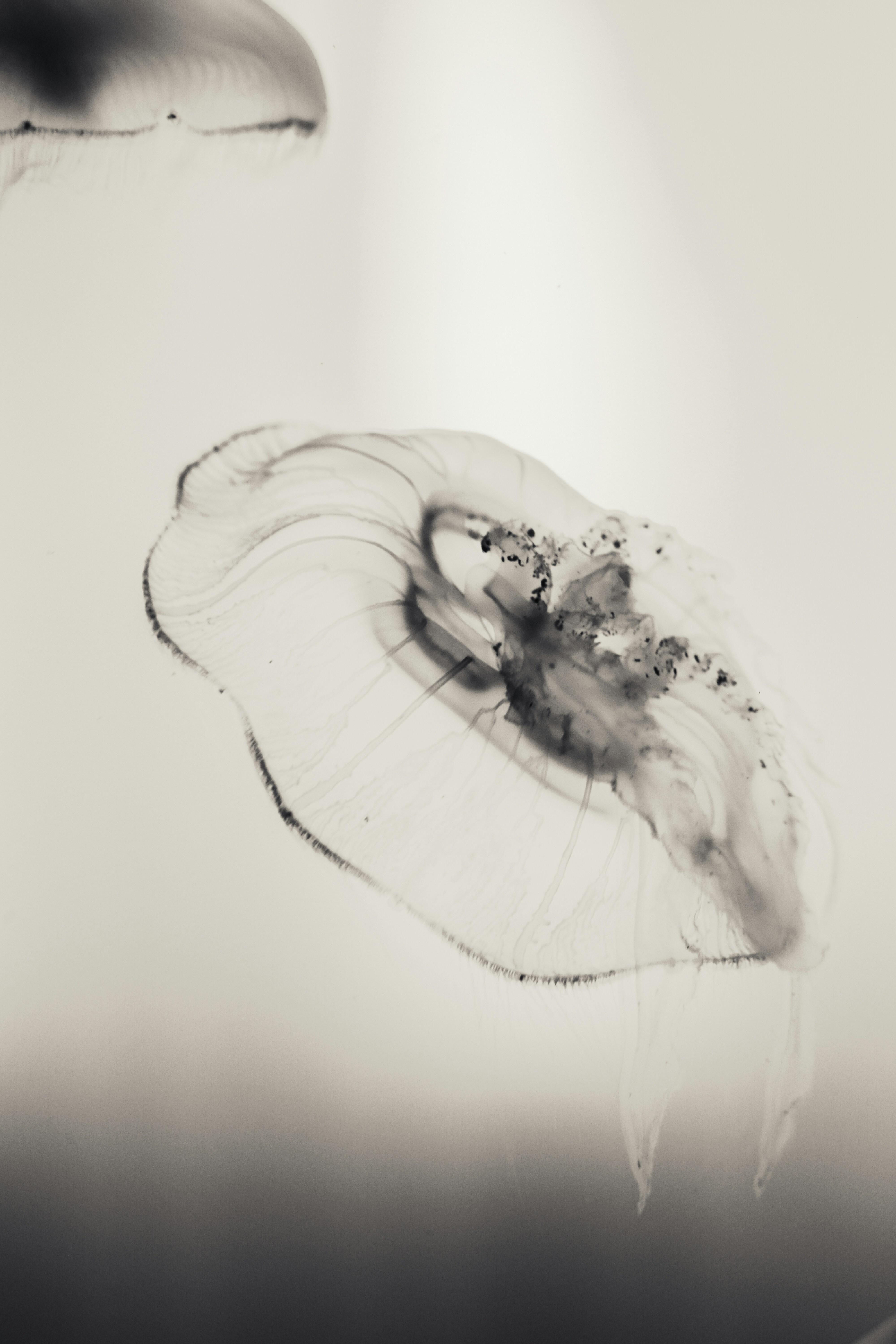 Photo by feodorchistyakov