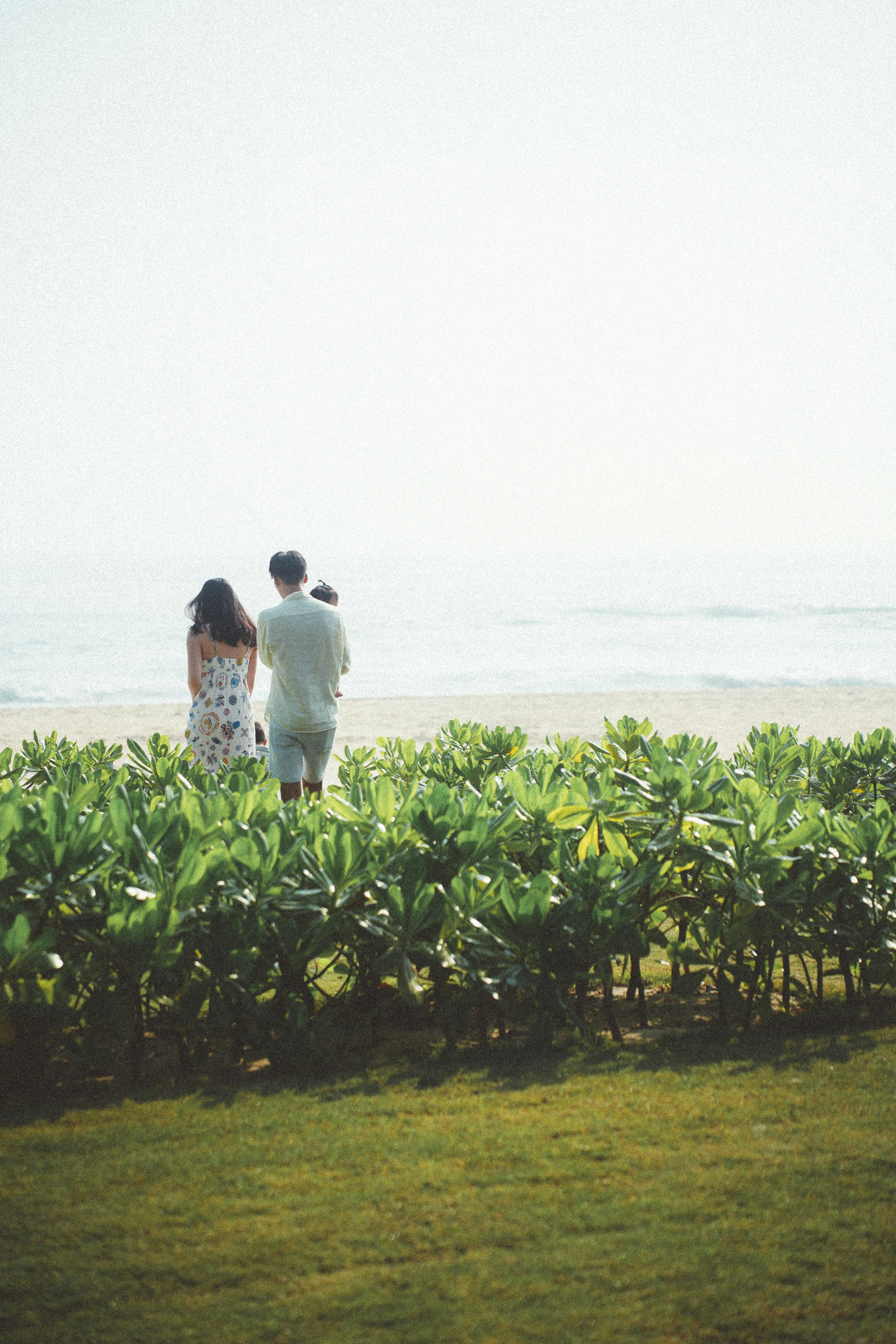 Photo by hoianphotographer