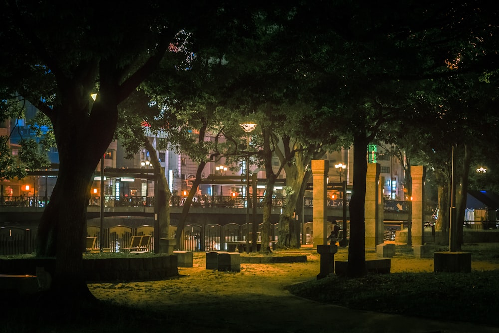 a city park at night with trees and benches