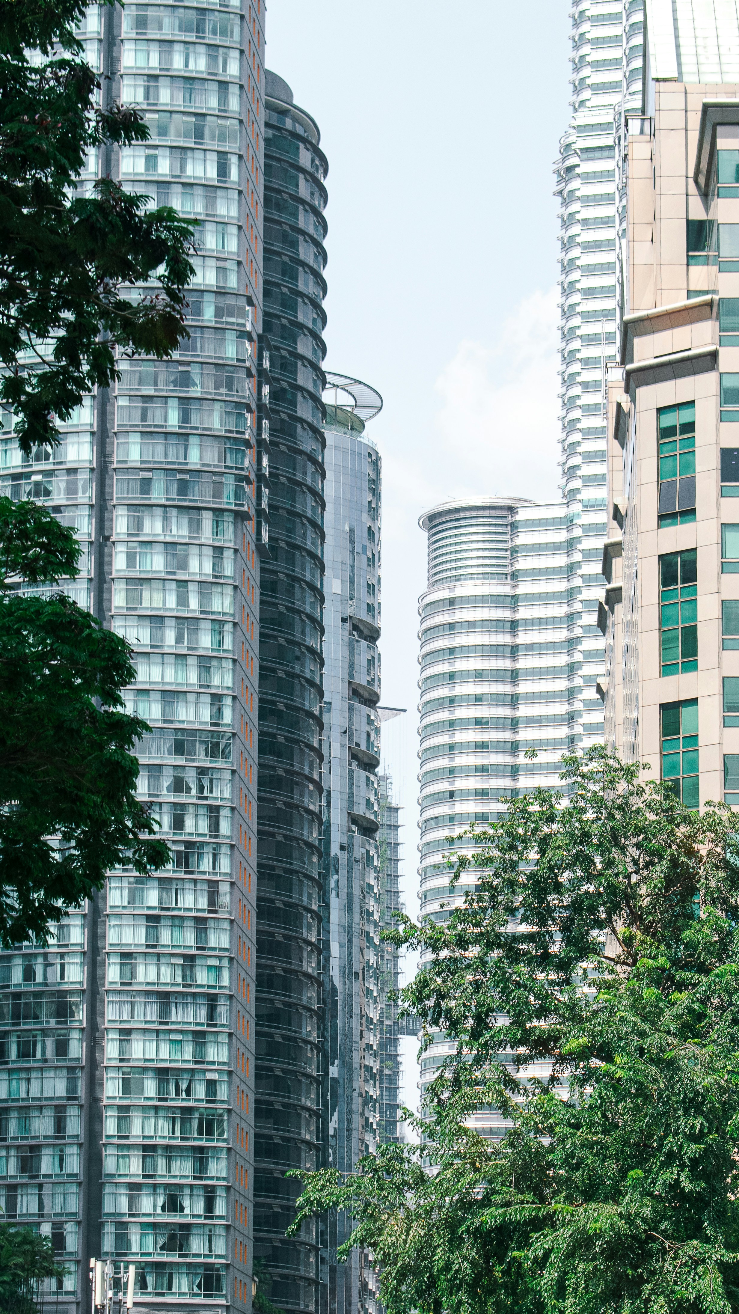 Photo by tirthkesharia