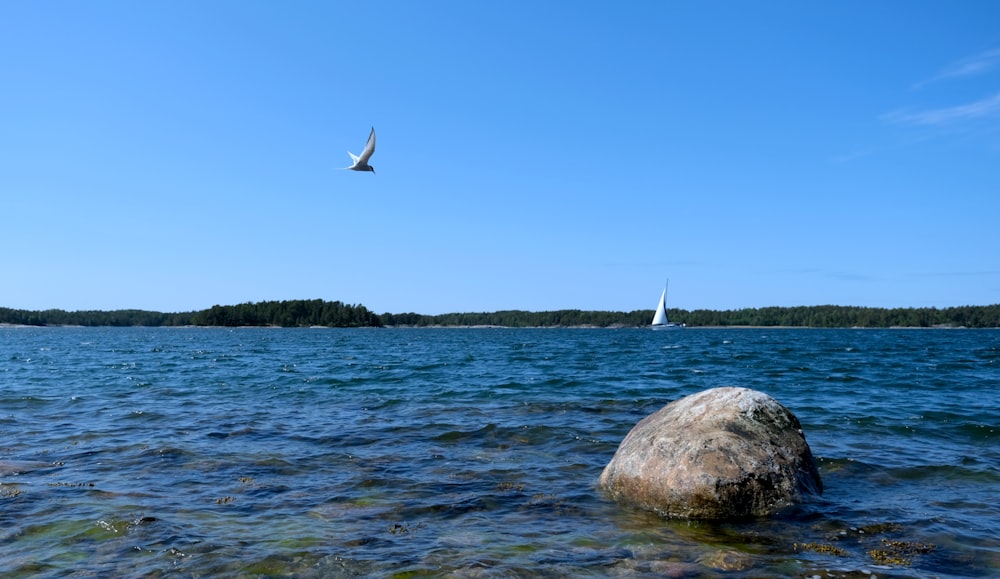 a large rock sitting in the middle of a lake