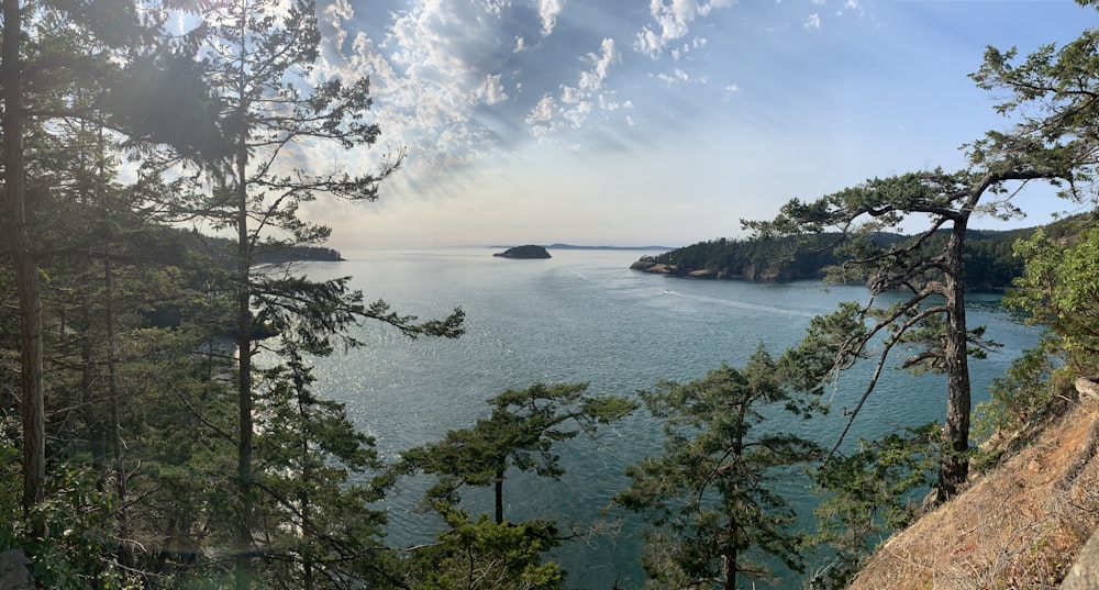 a scenic view of a body of water surrounded by trees