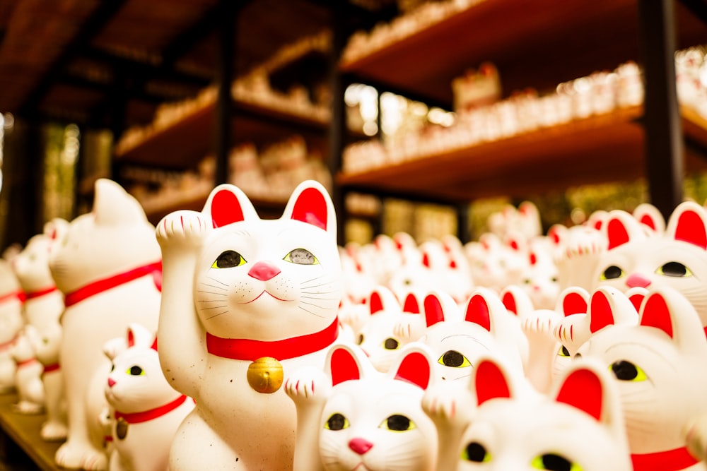 a group of white cats with red collars
