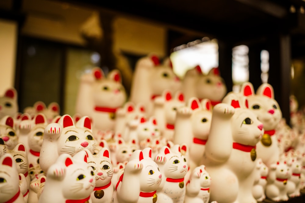 un groupe de chats blancs avec des colliers rouges