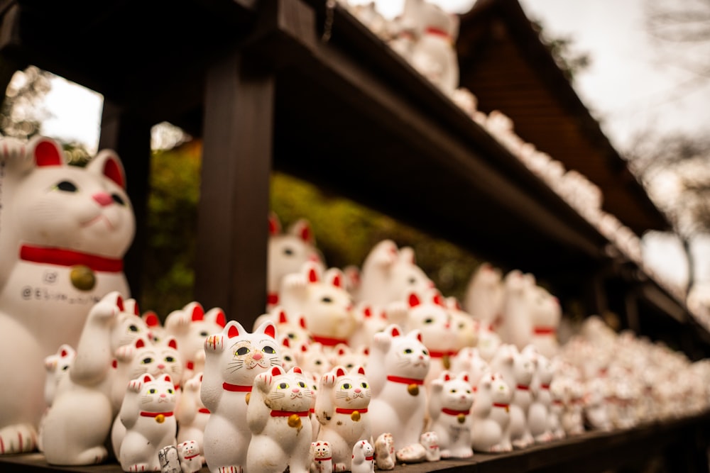 a bunch of white cats that are on a table