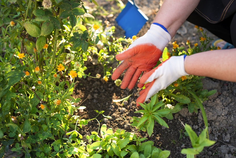 Or Brun engrais et fertilisants