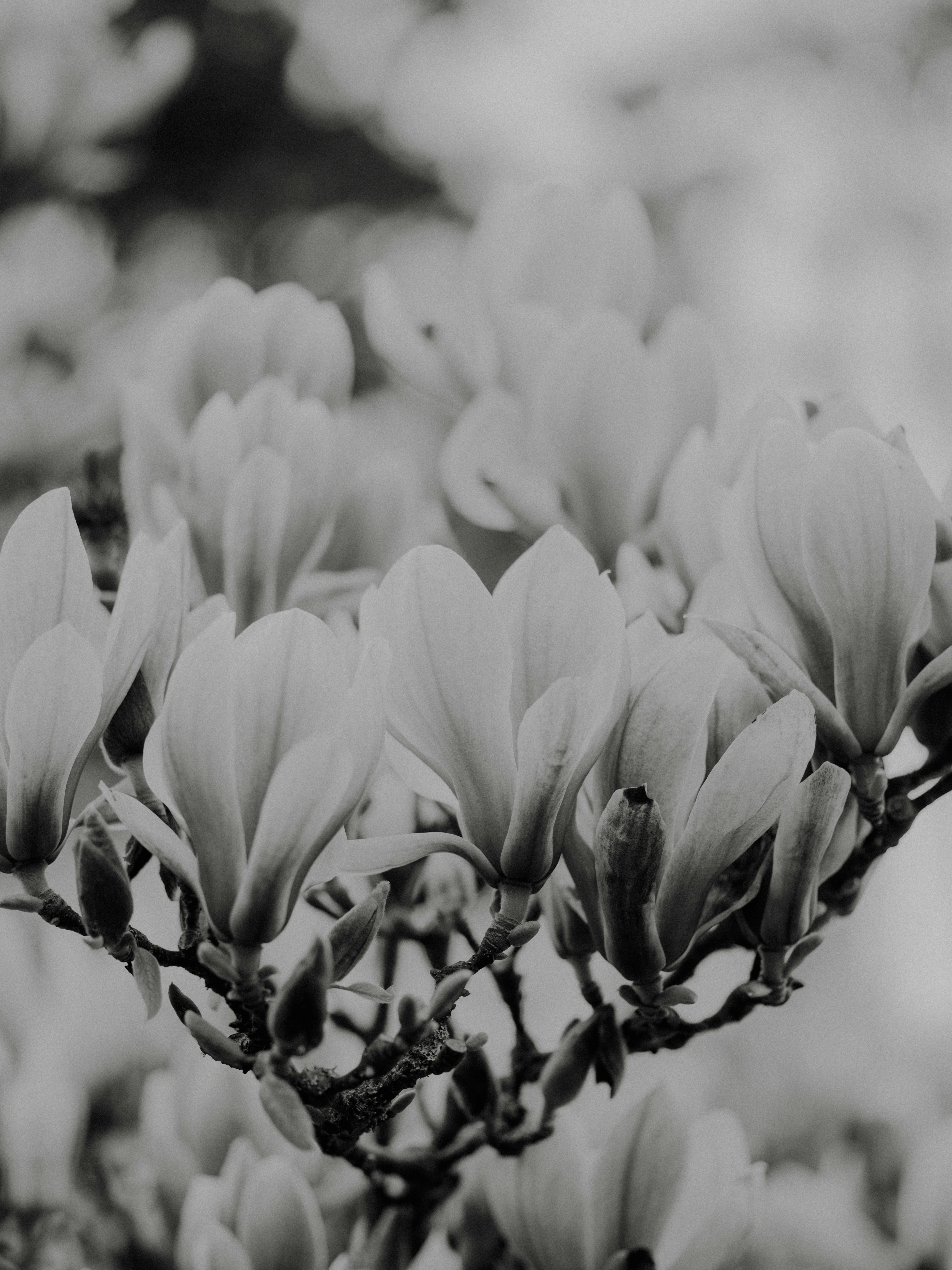 Photo by anniespratt