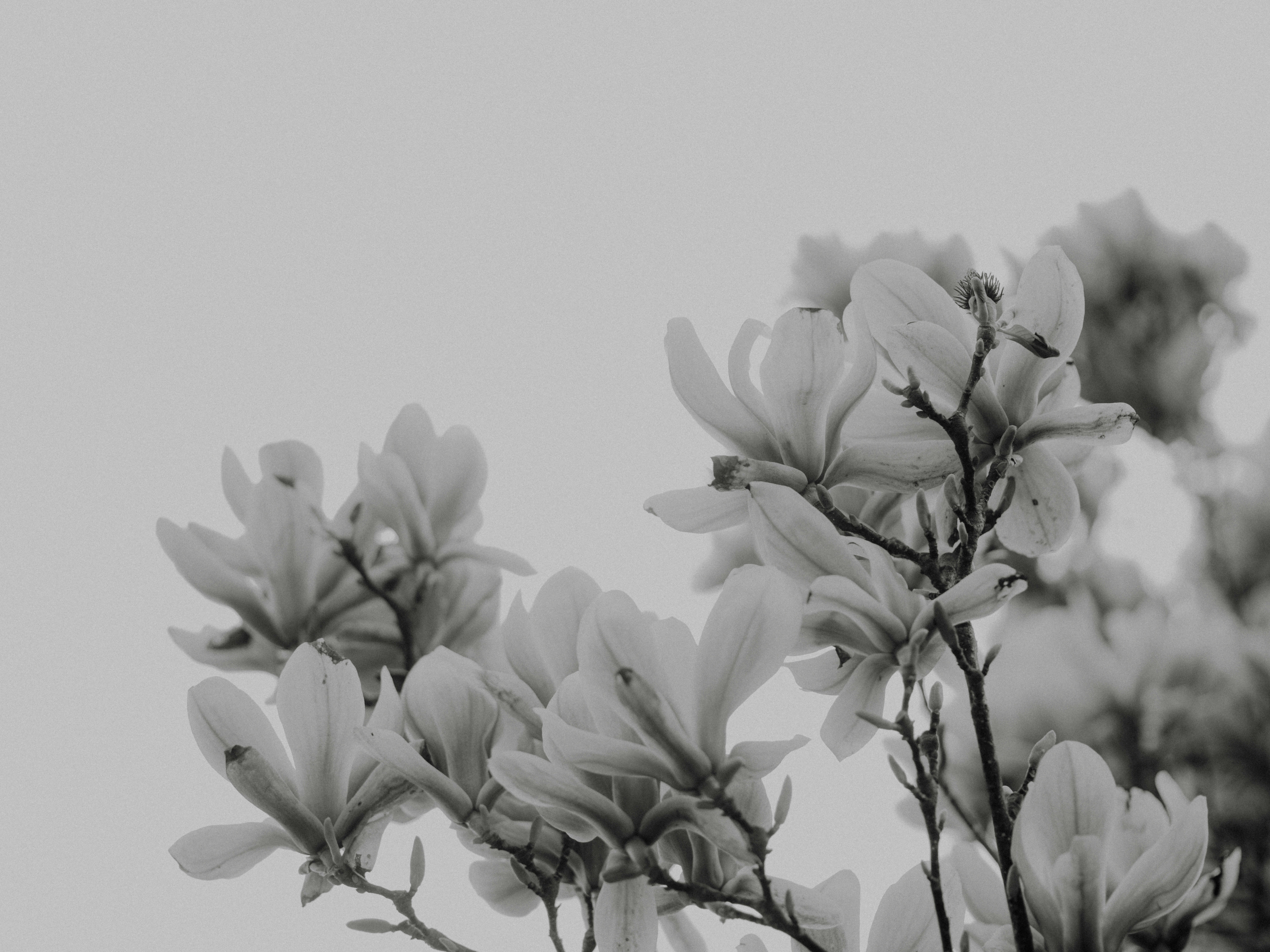 Photo by anniespratt