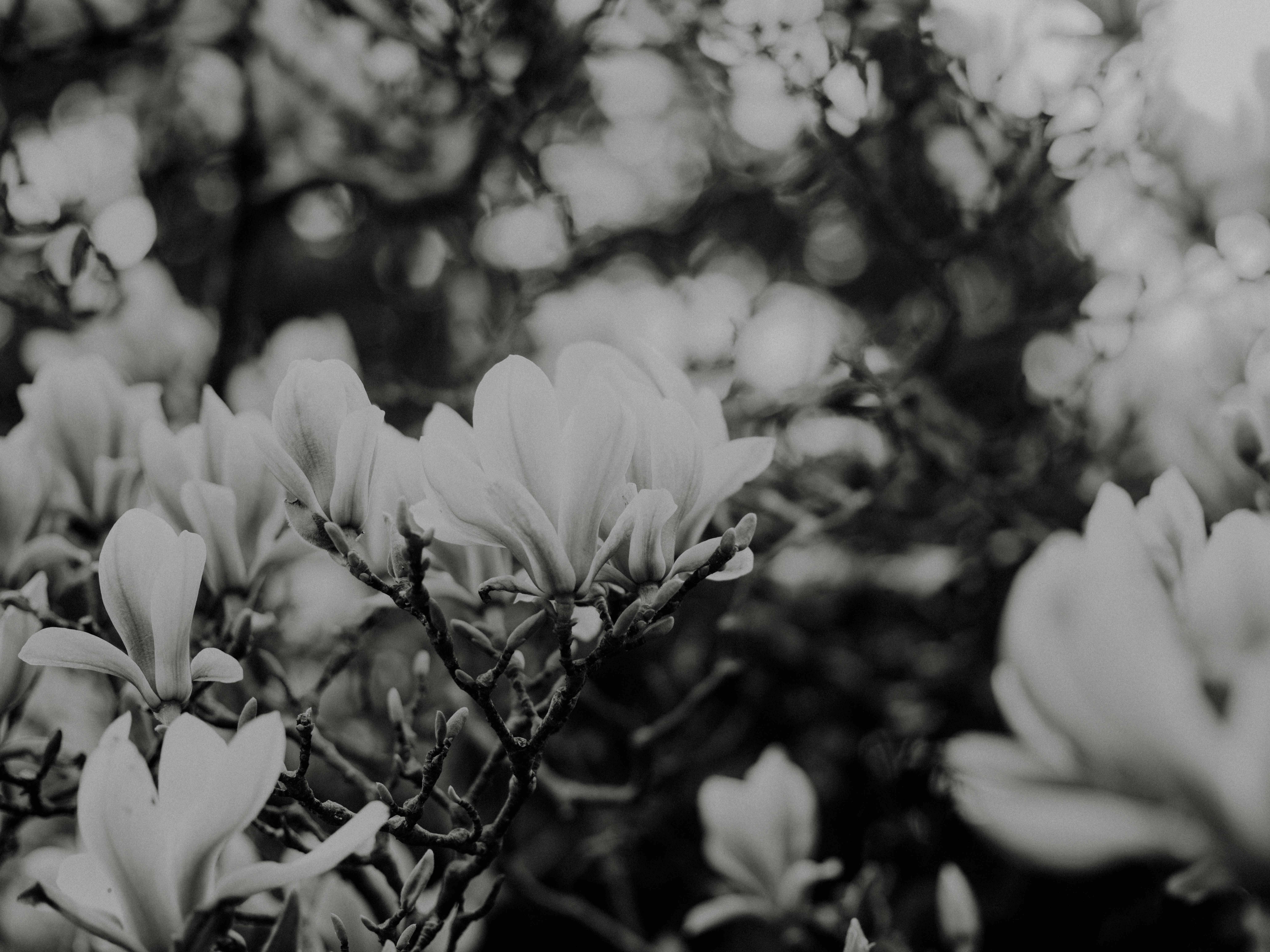 Photo by anniespratt