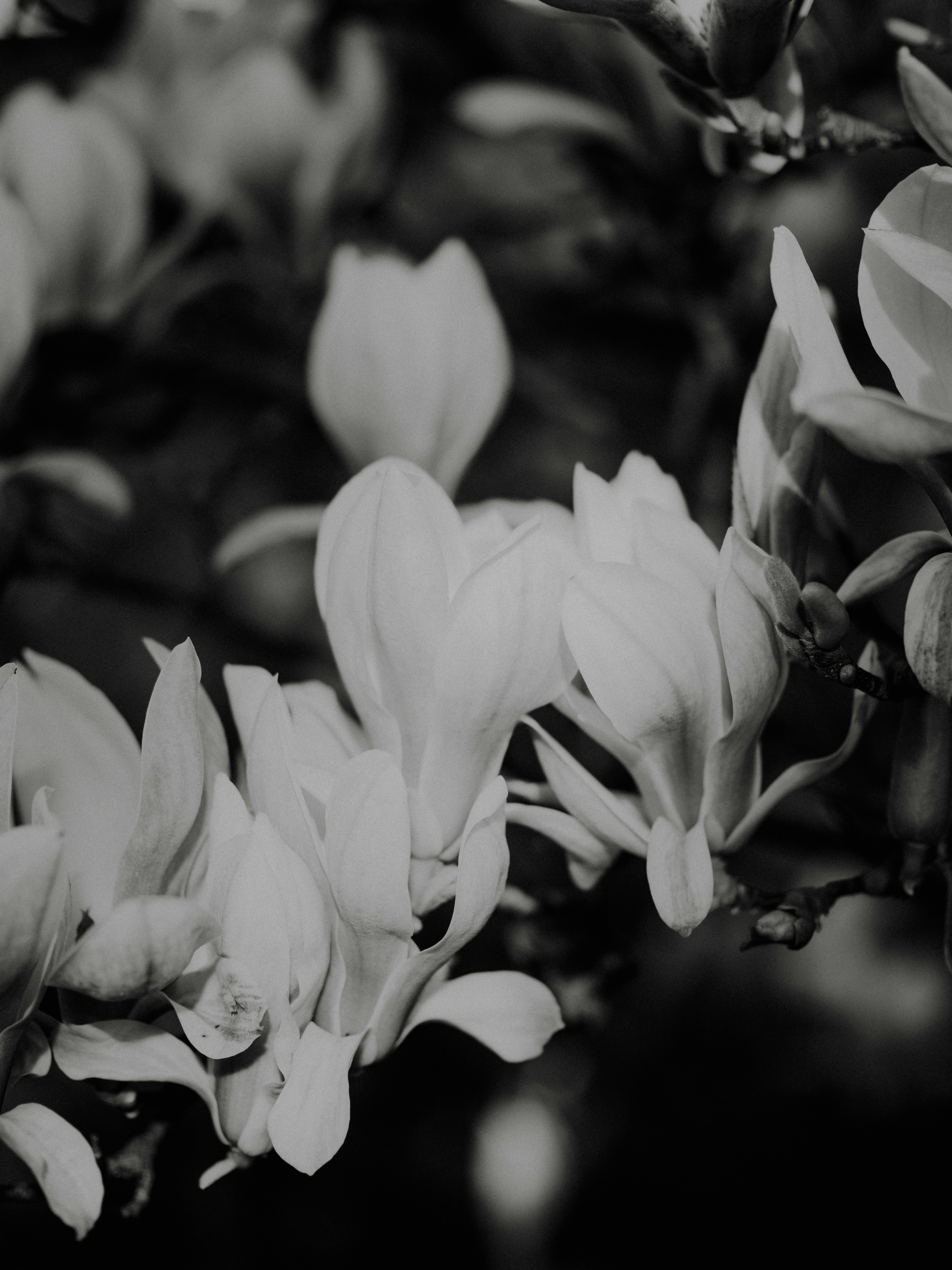 Photo by anniespratt