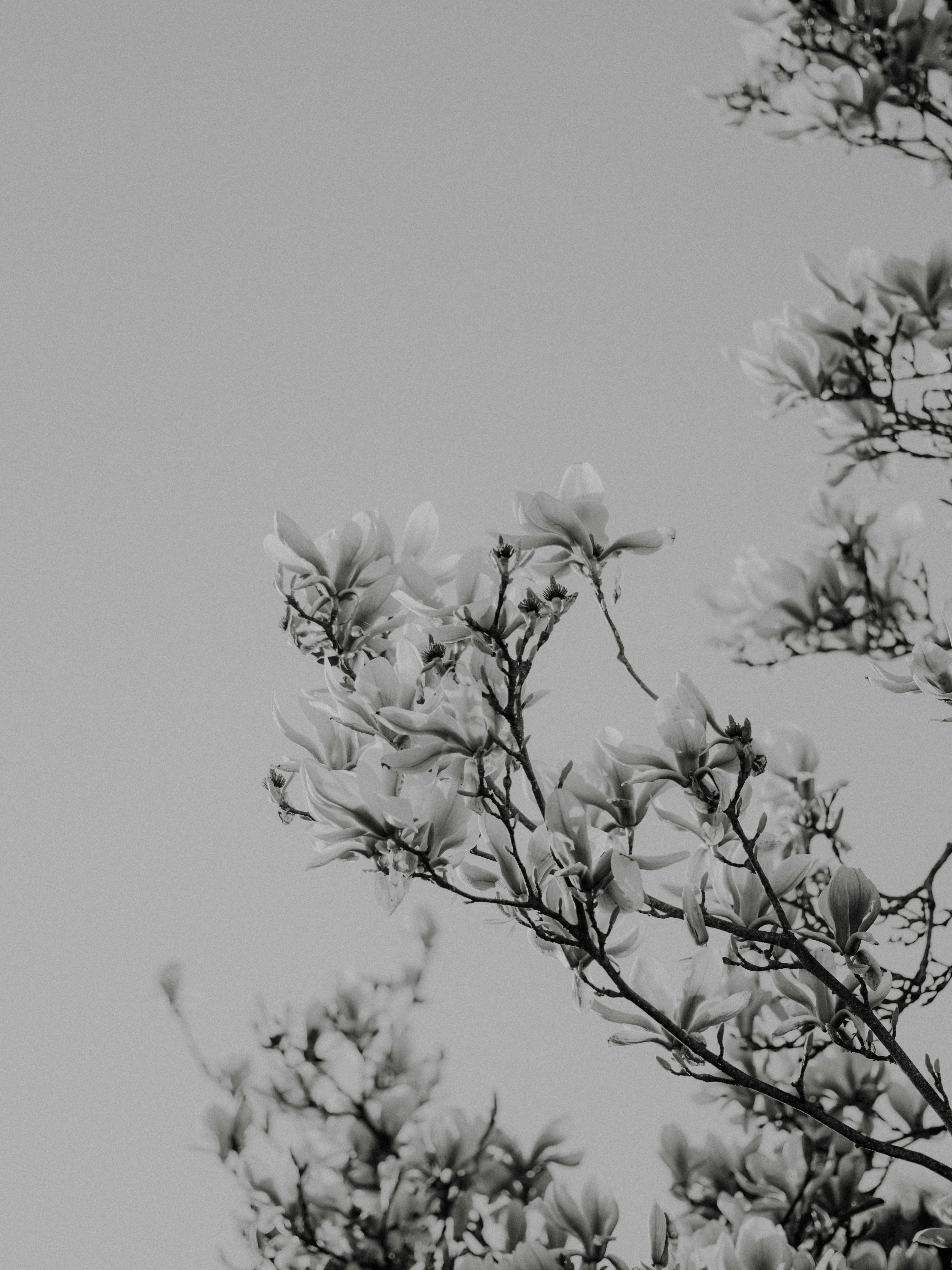 Photo by anniespratt