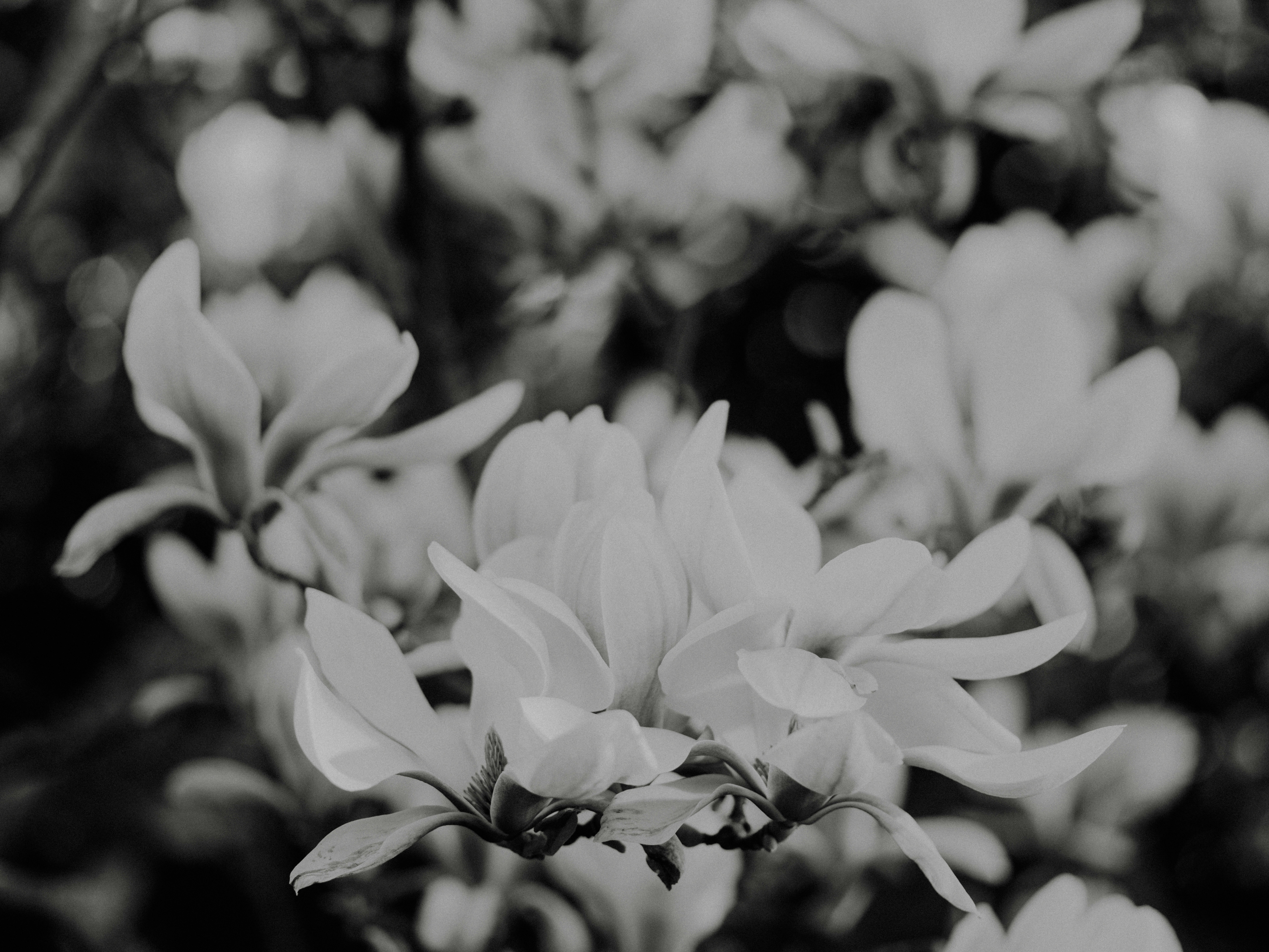 Photo by anniespratt